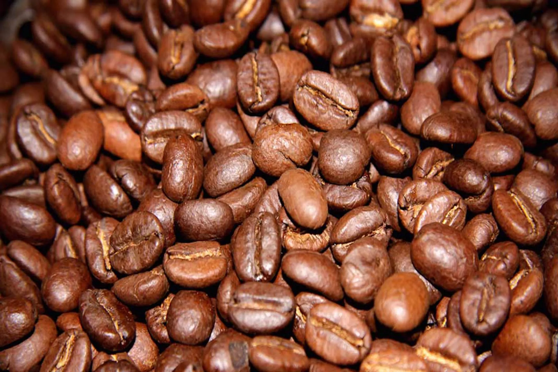 Colombia promociona los caminos del café, el cual es considerado como uno de los parques temáticos más importantes de Latinoamérica