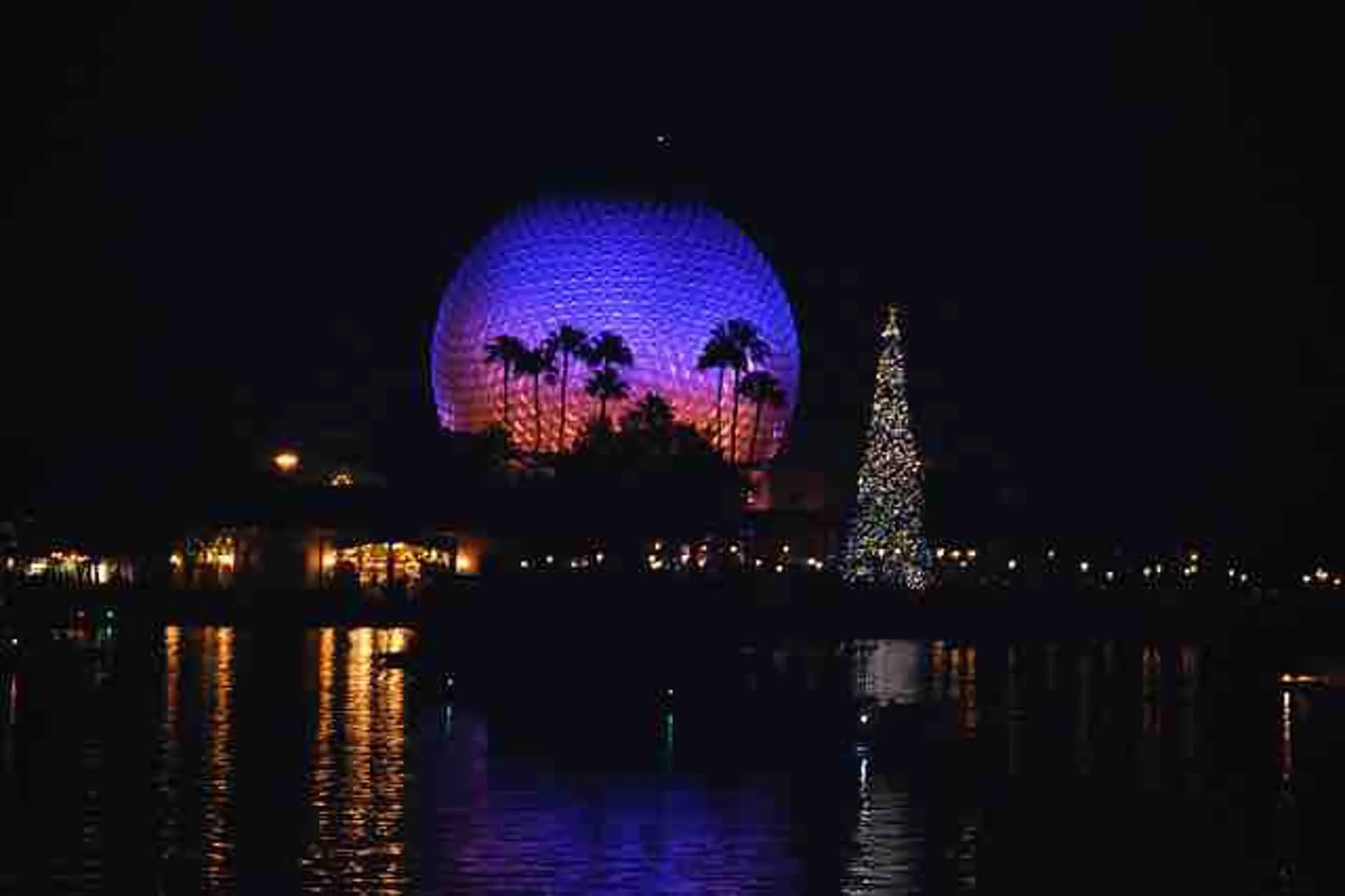 Las vacaciones serán diferentes este año. Pero hay formas de disfrutar las fiestas de manera segura. Mira las opciones navideñas y de fin de año en La Florida. 