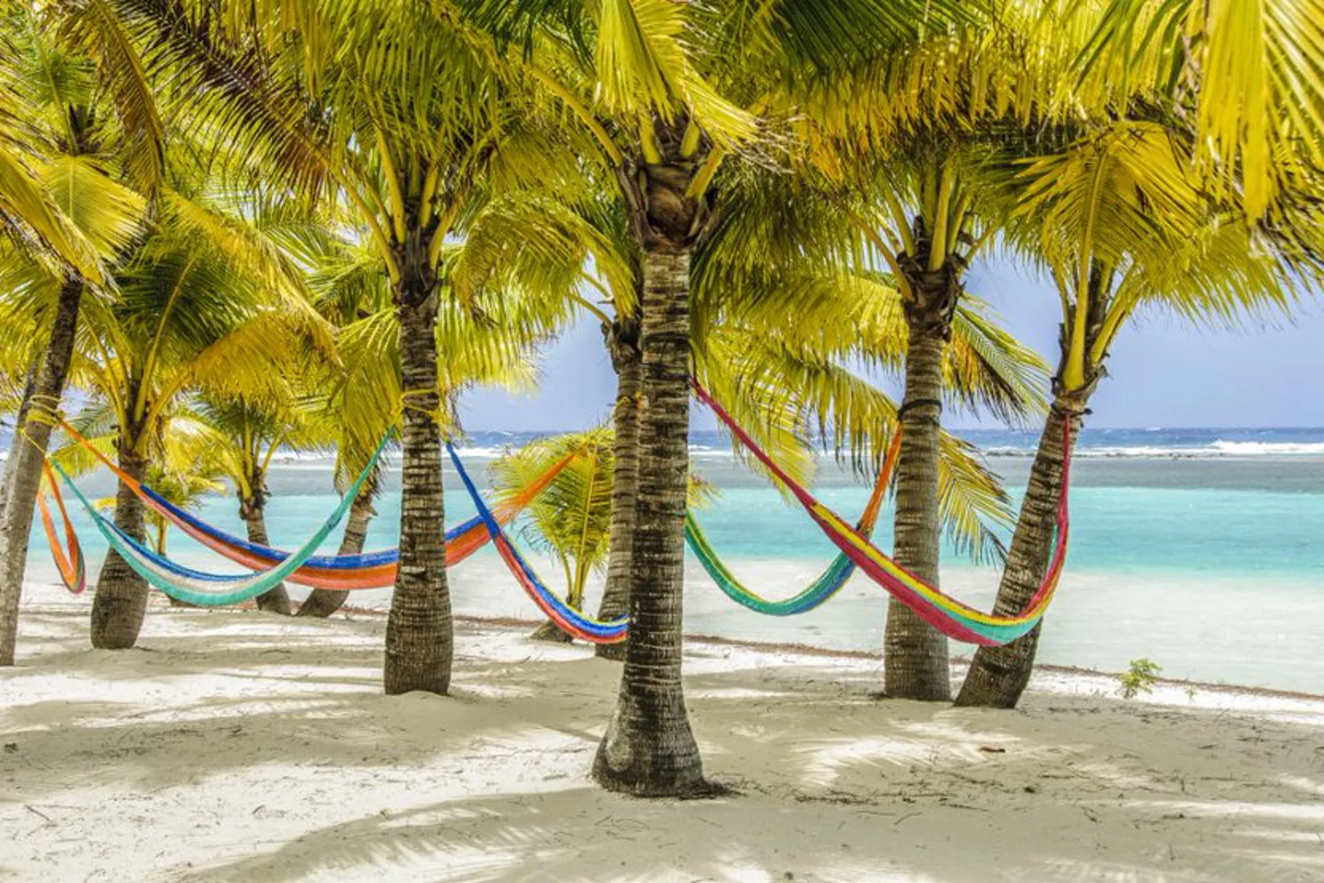 Belize fortalece presencia en América Latina   