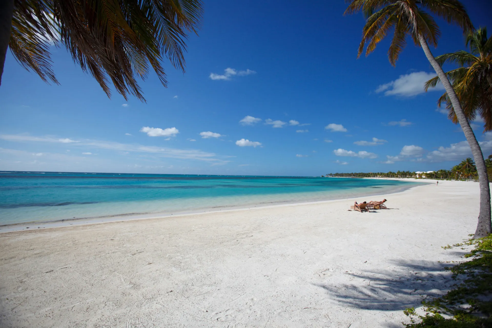 ARAJET conecta a Colombia con Punta Cana y Bávaro ARAJET conecta a Colombia con Punta Cana y Bávaro