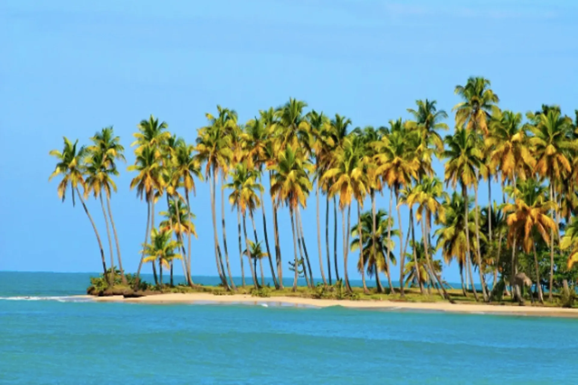 Miches se posiciona como el destino modelo de Rep. Dominicana Miches se posiciona como el destino modelo de Rep. Dominicana