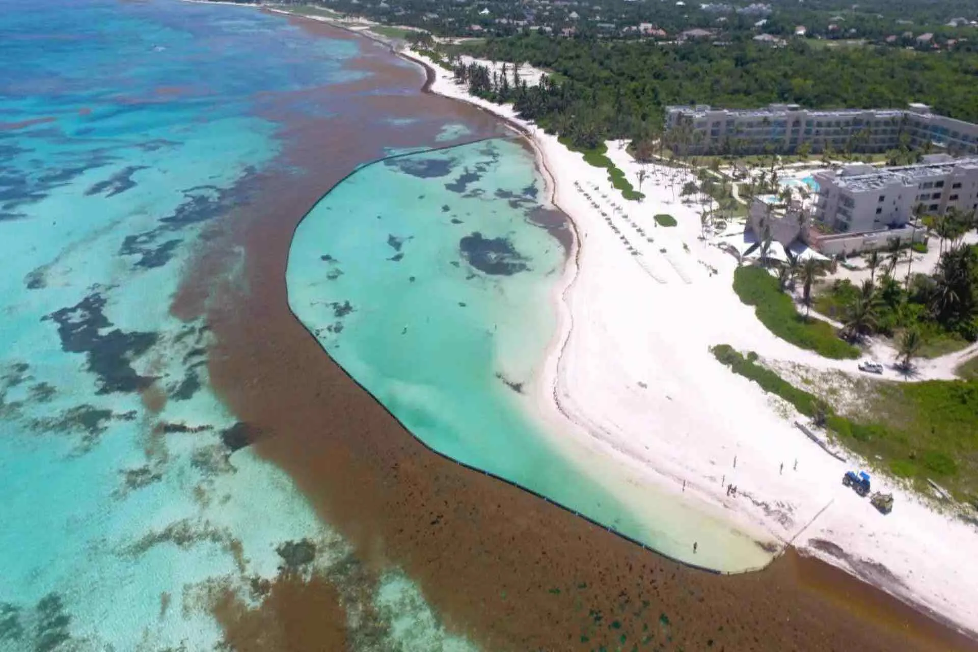 República Dominicana crea un Gabinete de Lucha Contra el Sargazo