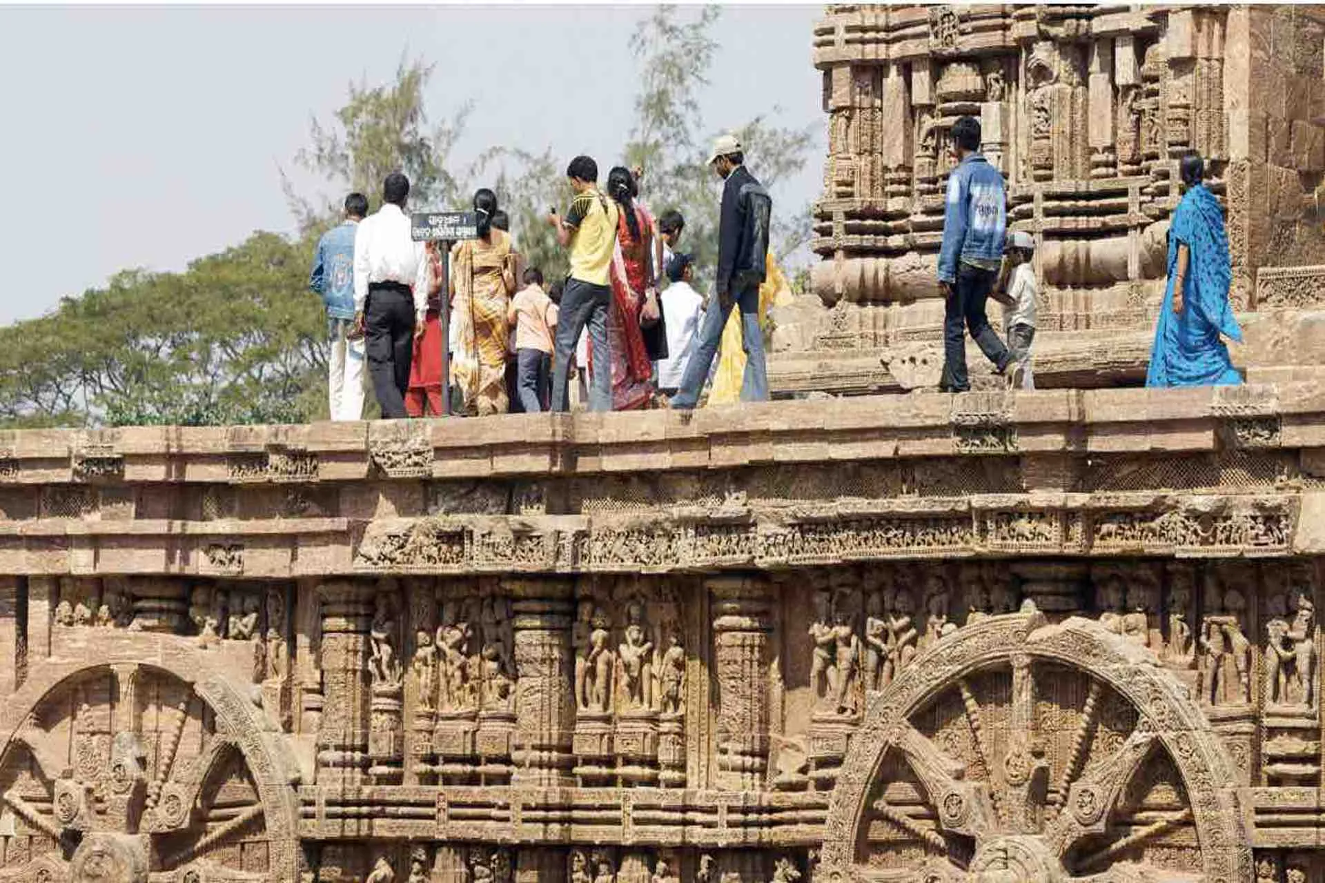 OMT y G20 lanzan herramienta para lograr Objetivos de Sustentabilidad