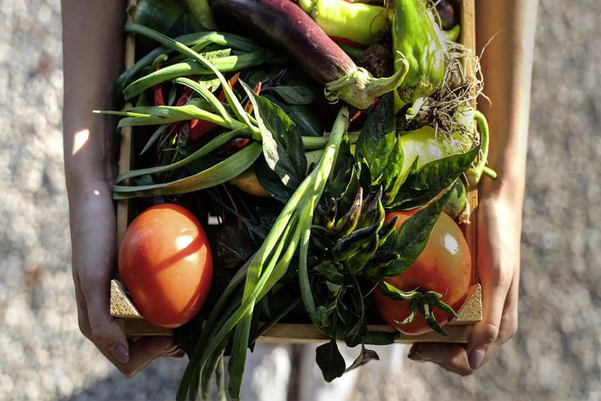 Accor implementa IA para reducir la pérdida de alimentos