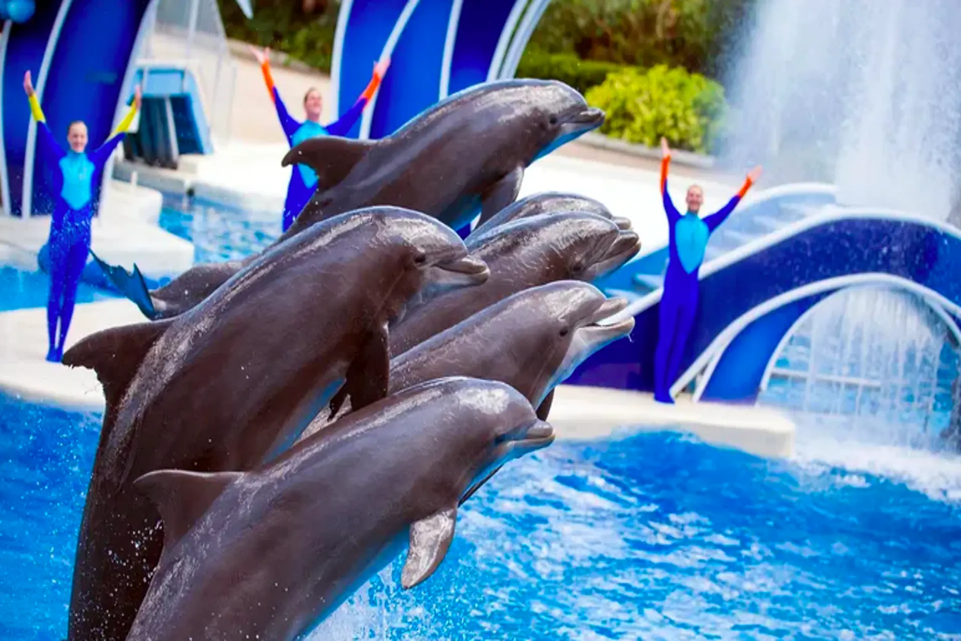 SeaWorld: inclemencias climáticas afectaron resultados de 3T
