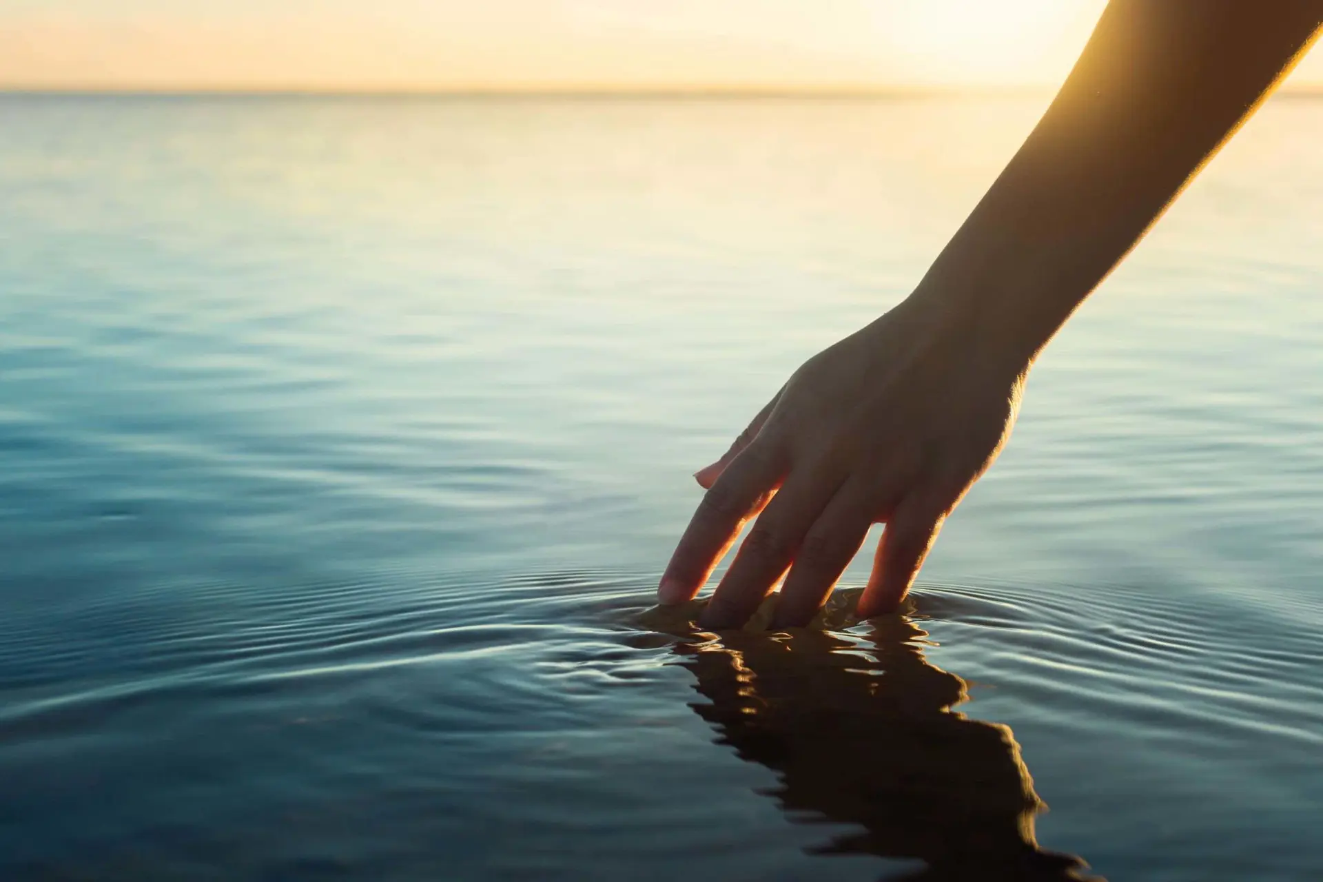 WTTC: uso de agua del sector a nivel mundial continúa disminuyendo 