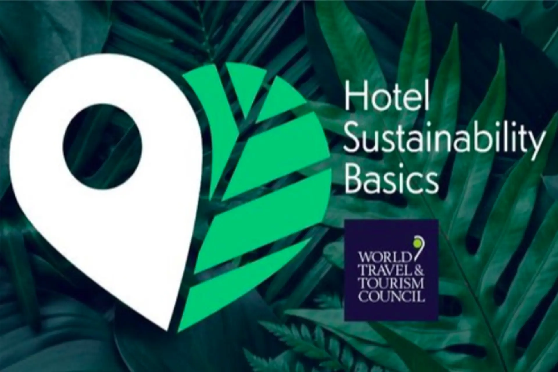 WTTC: Hotel Sustainability Basics cierra 2023 con más de 1,300 hoteles