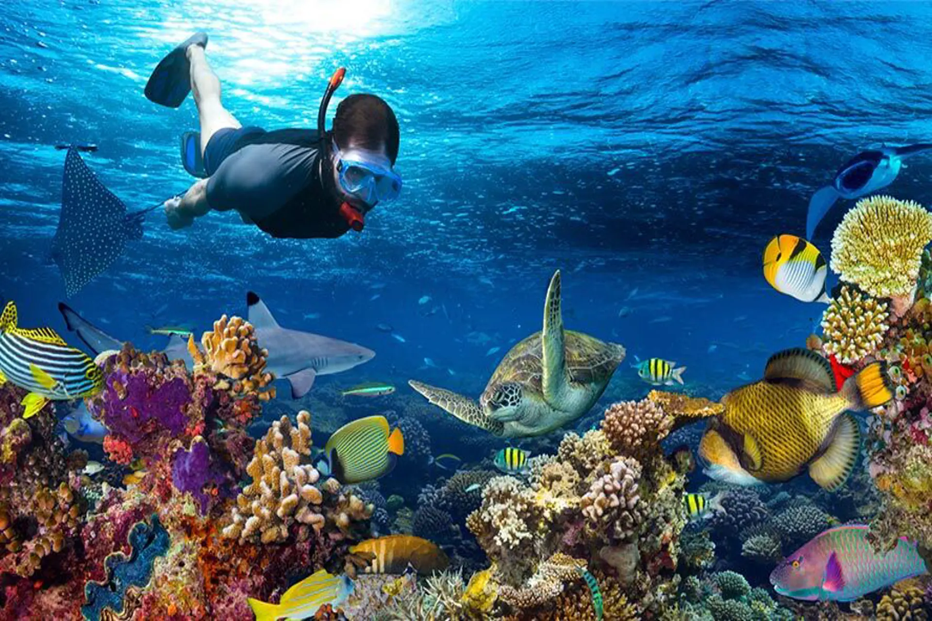 Rep. Dominicana: 60% del turismo buscan actividades fuera del hotel