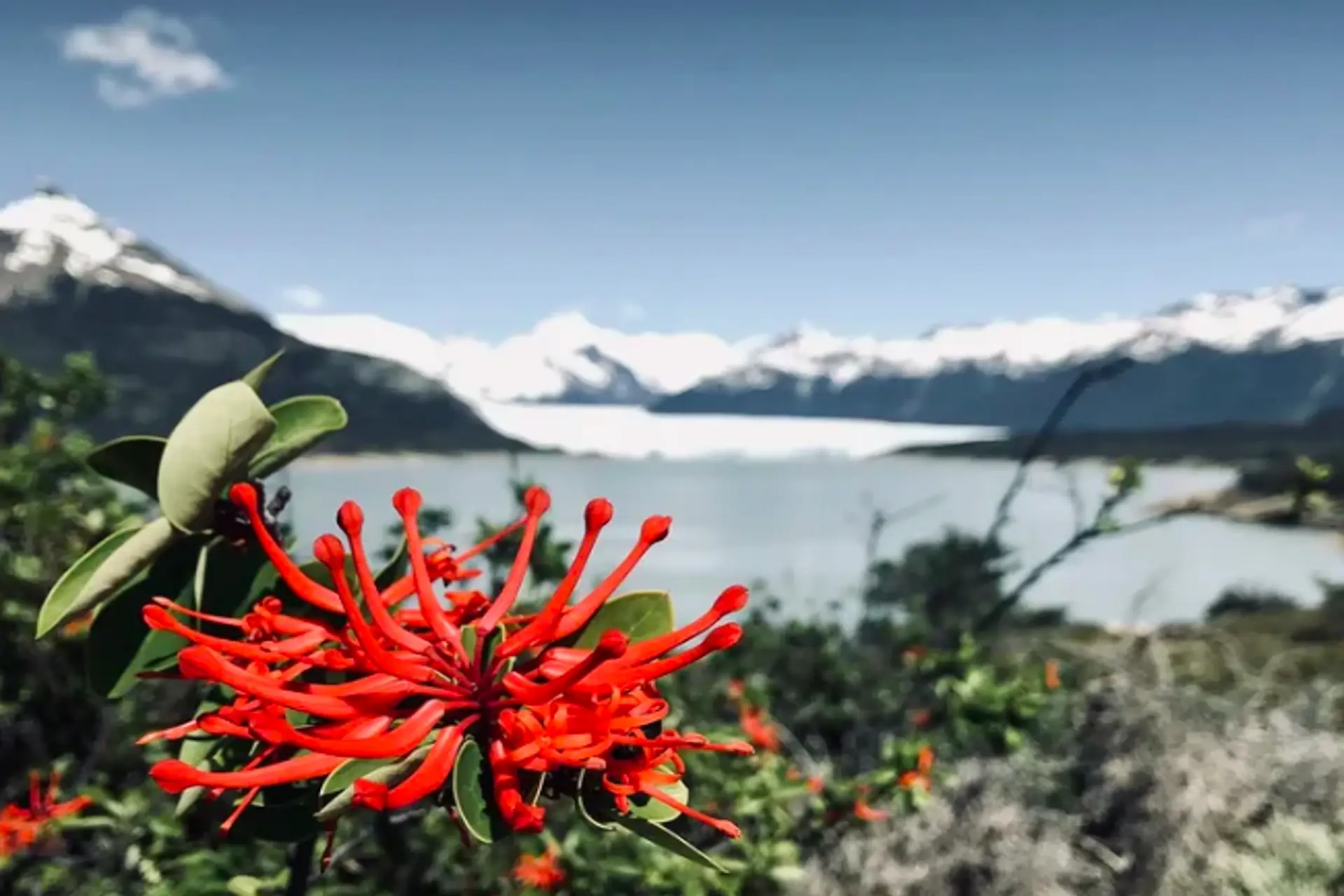 5 destinos turísticos tuvieron buena ocupación a pesar de la crisis