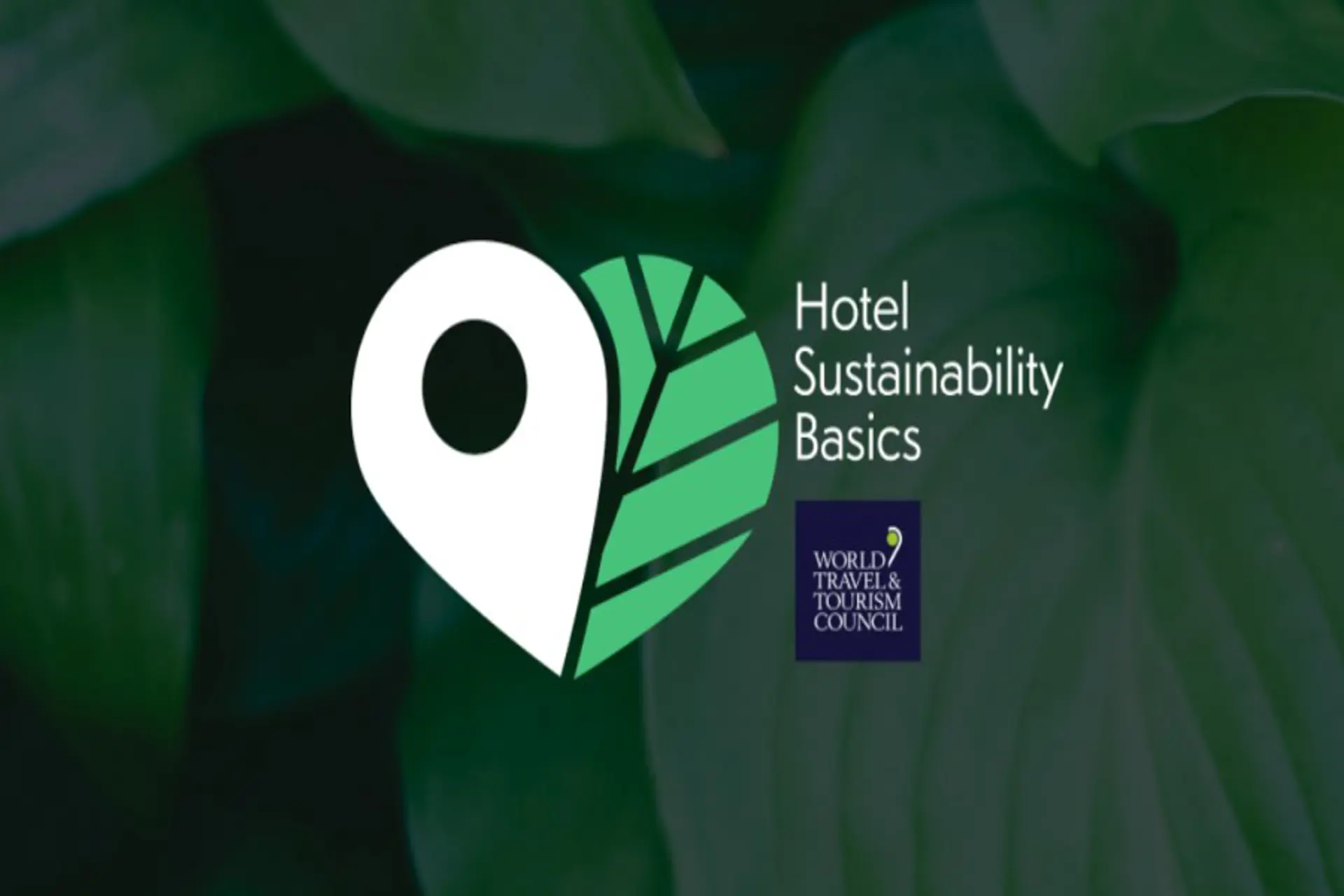 Mas de 17.000 hoteles fueron certificados Hotel Sustainability Basics