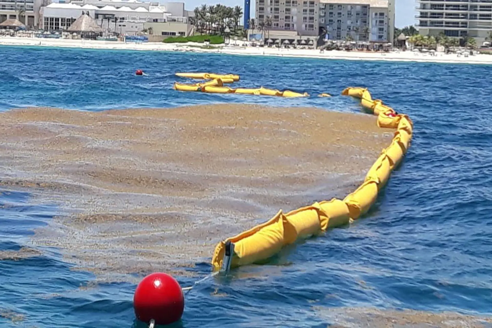 Quintana Roo instalará barreras anti sargazo en playas turísticas 