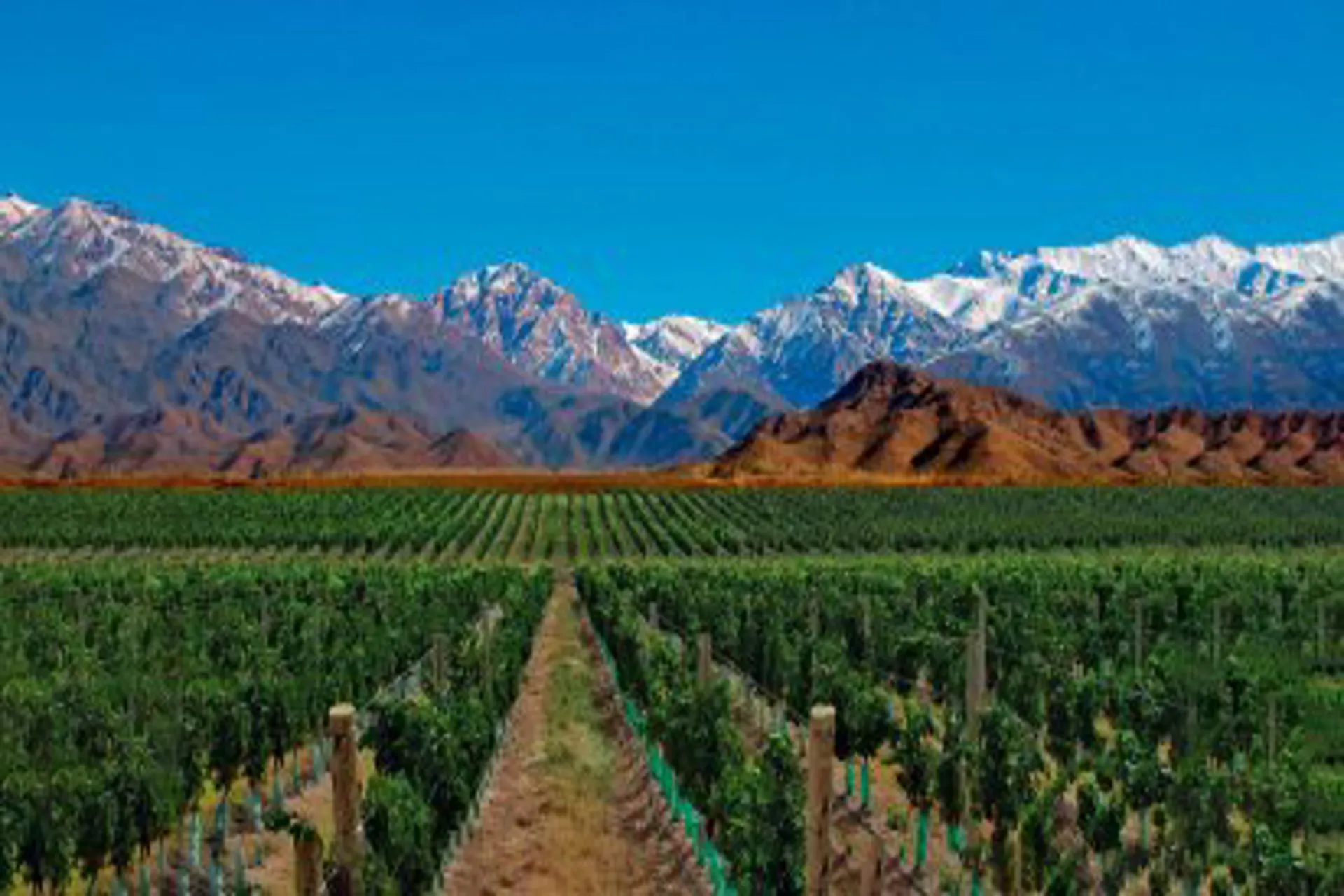 Mendoza es el único destino argentino en el top 10 regional de Forbes