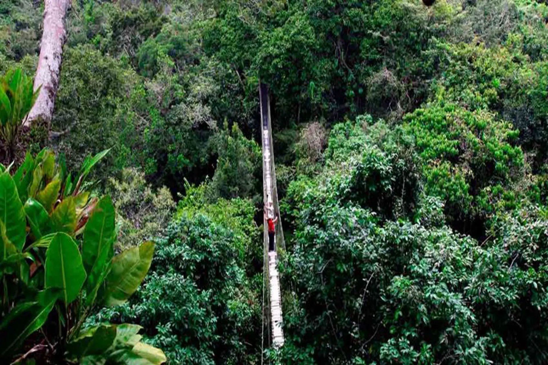 Colombia: Mincomercio presenta avances en turismo para la Amazonía