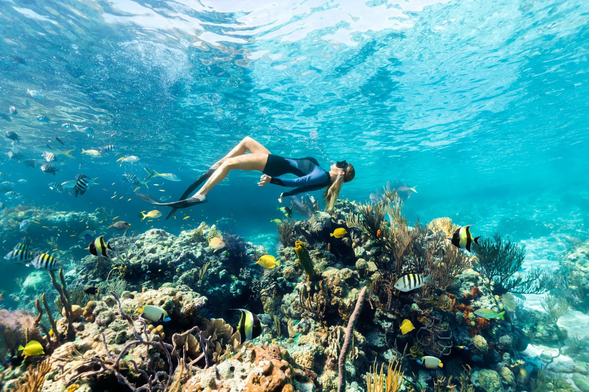 Explora los tesoros de la barrera de coral de Andros, en Bahamas