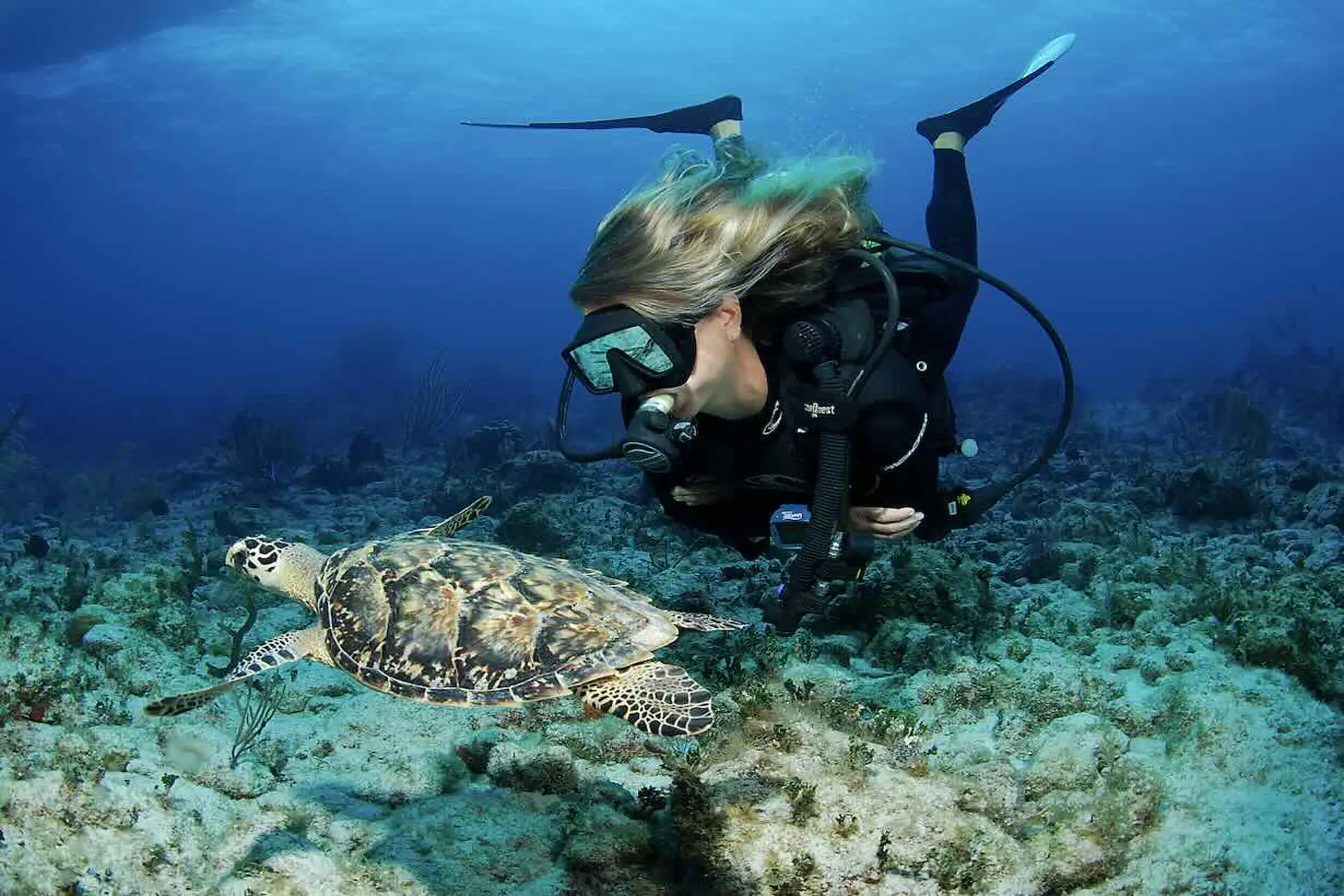 Buceo y Patrimonio, inmersiones inolvidables en las Islas Caimán