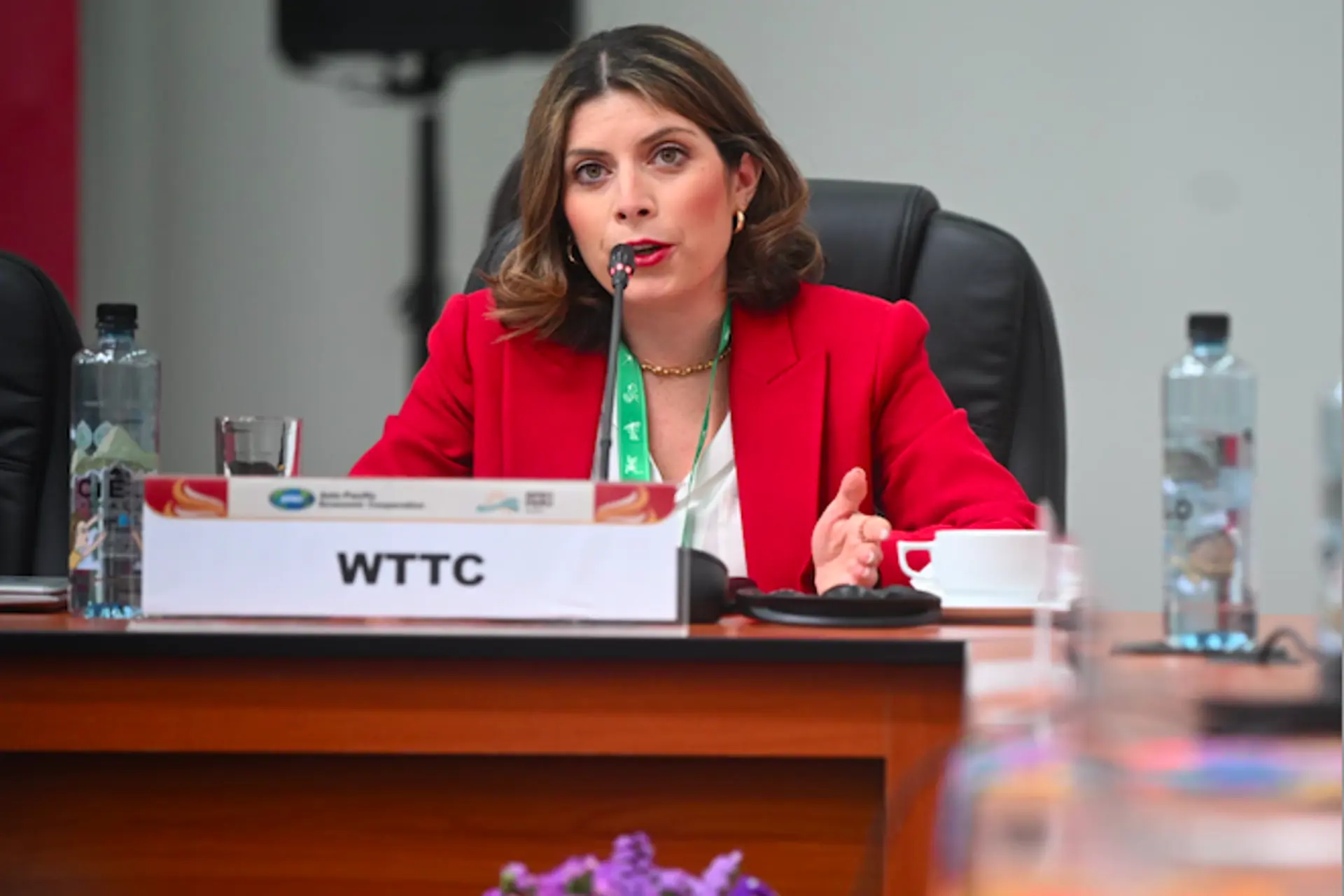 WTTC participo en la 12ª reunión ministerial de turismo de APEC