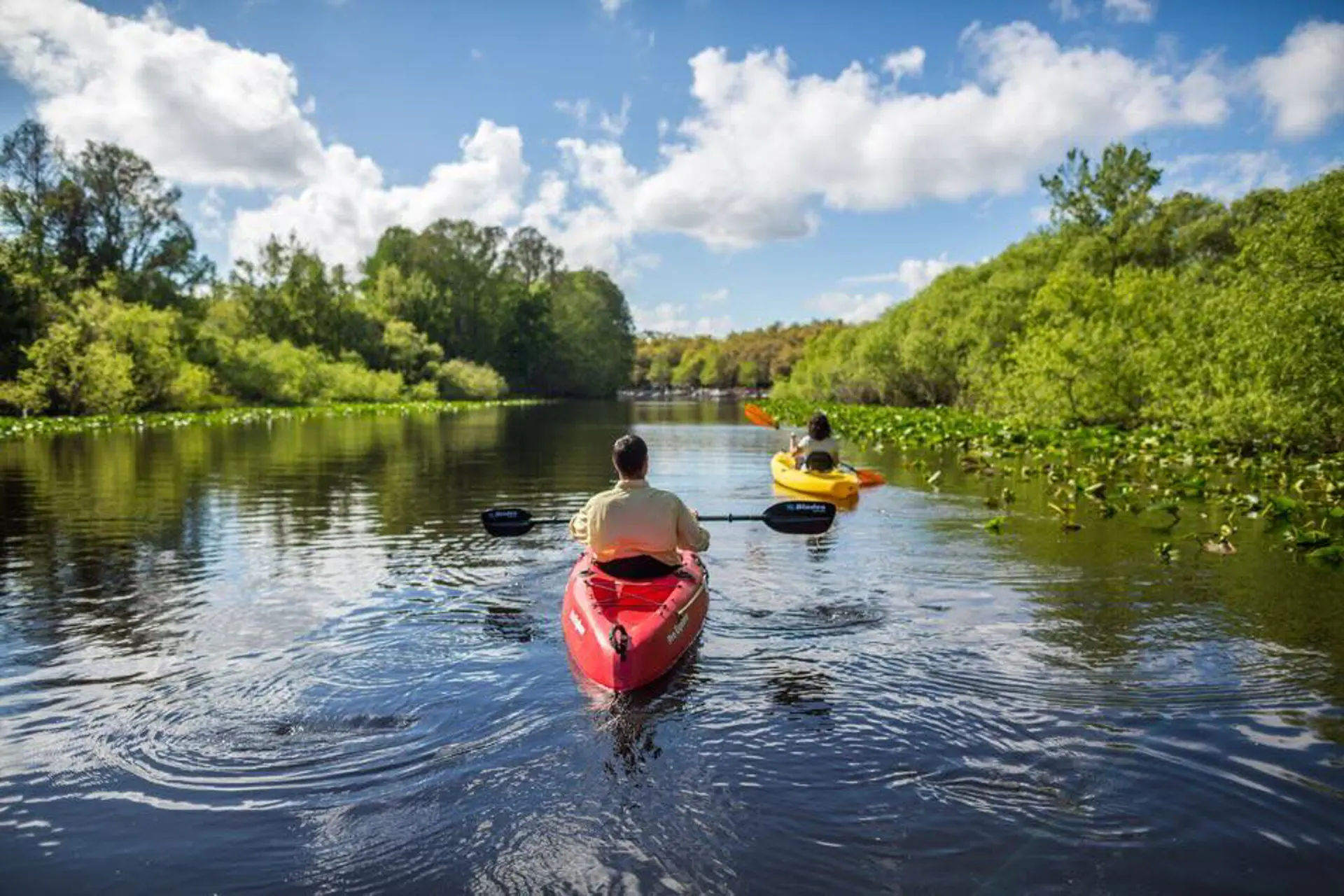 Disfrutar la naturaleza de Florida Central en las vacaciones