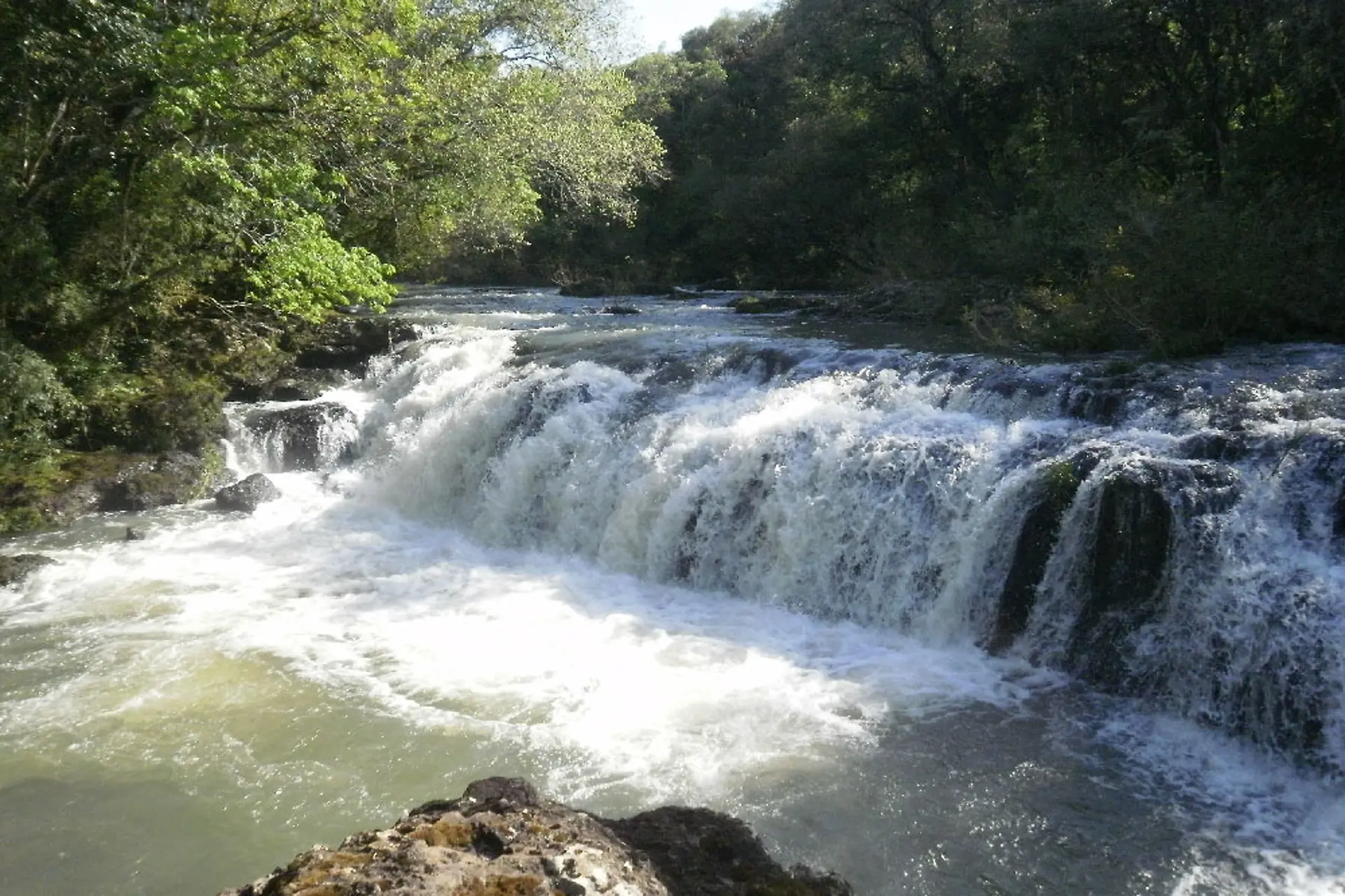 Red Argentina de Reservas Naturales Privadas (RARNP) cumplió 10 años