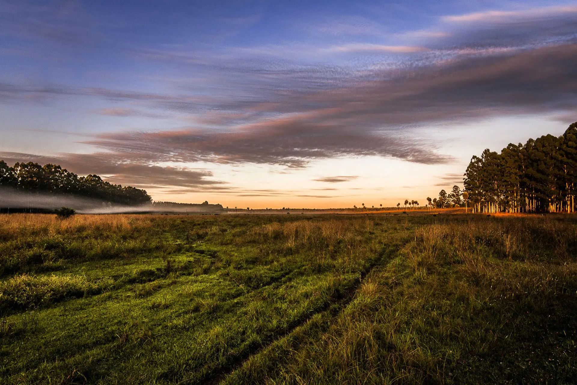 Red Argentina de Reservas Naturales Privadas (RARNP) cumplió 10 años