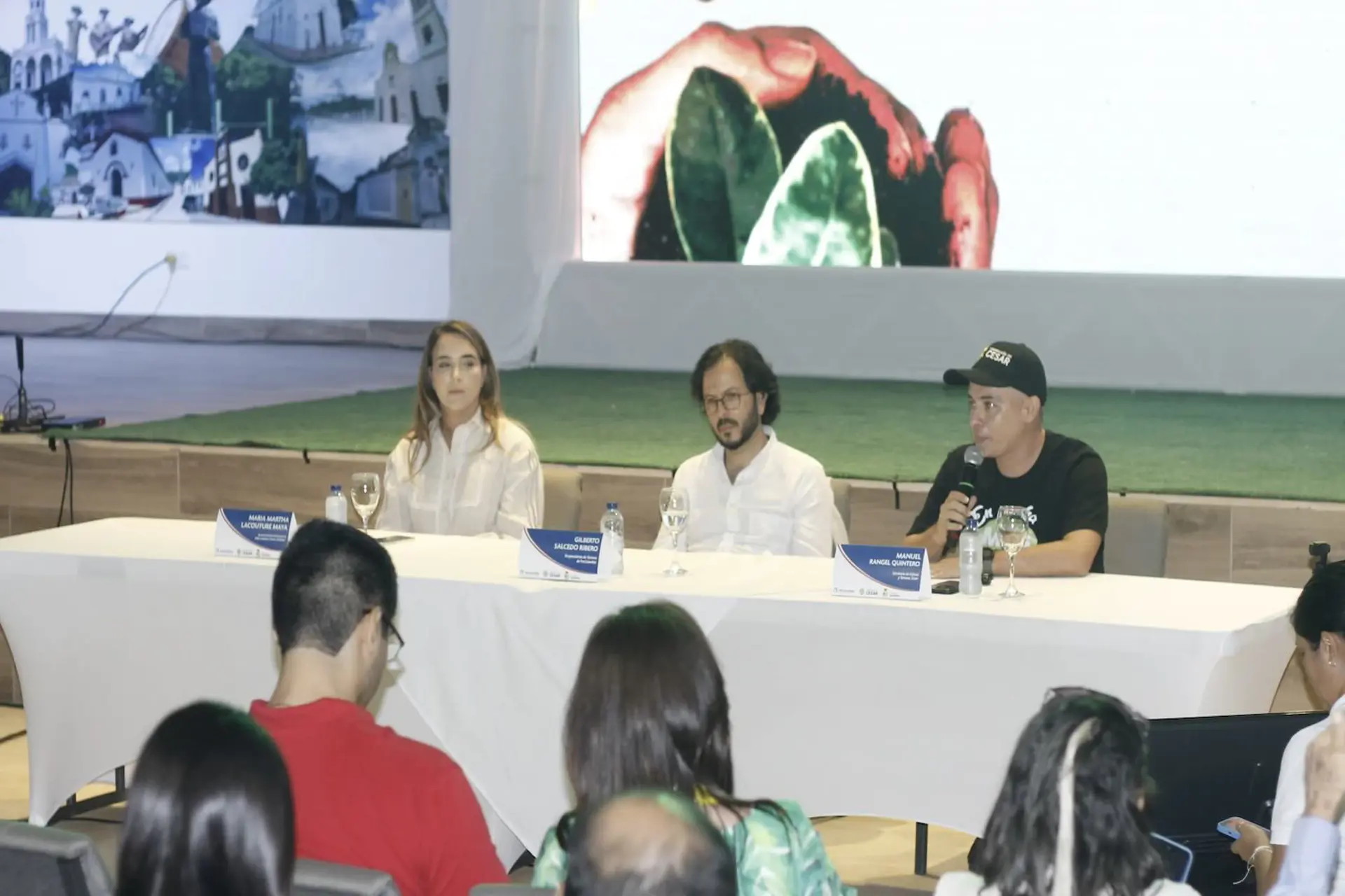 Compradores internacionales de turismo de naturaleza en Valledupar