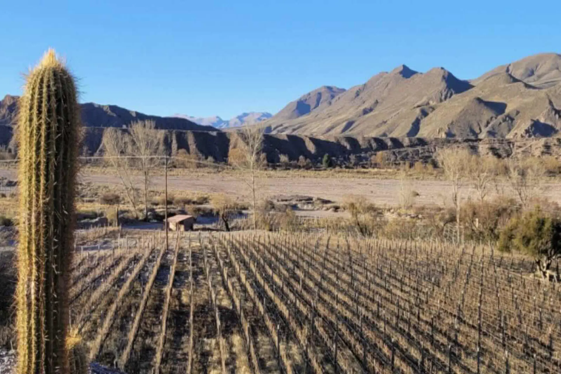 Jornada de turismo del vino en Jujuy