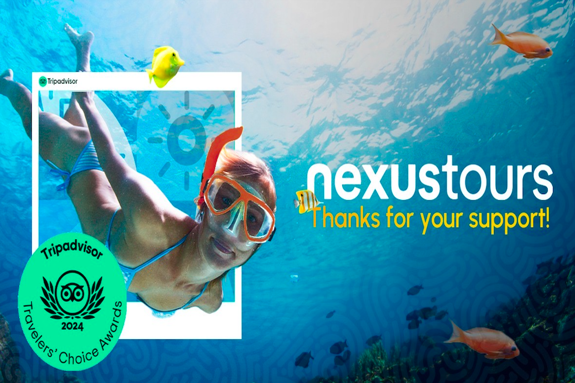 NexusTours premiado en Travelers' Choice Award 2024 en multiples destinos