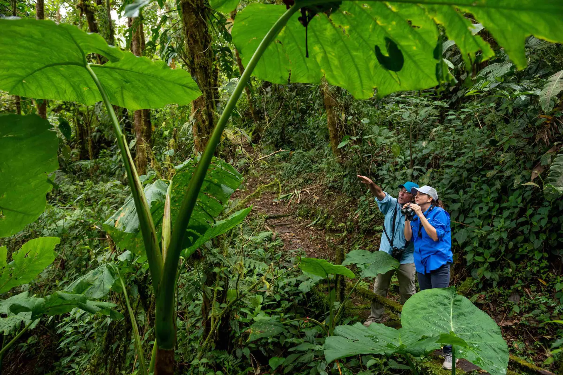 Panamá; un destino imperdible para los amantes del ecoturismo