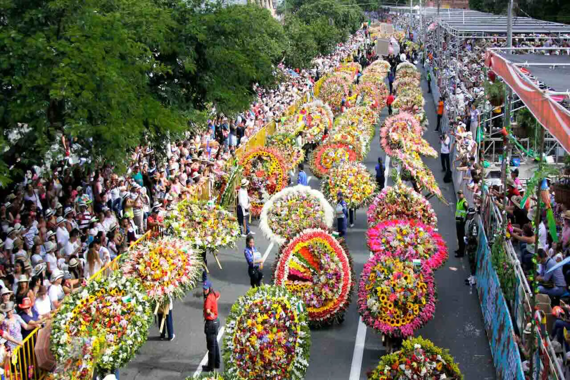 Avianca transportó a más de 187.000 viajeros por Feria de las Flores 