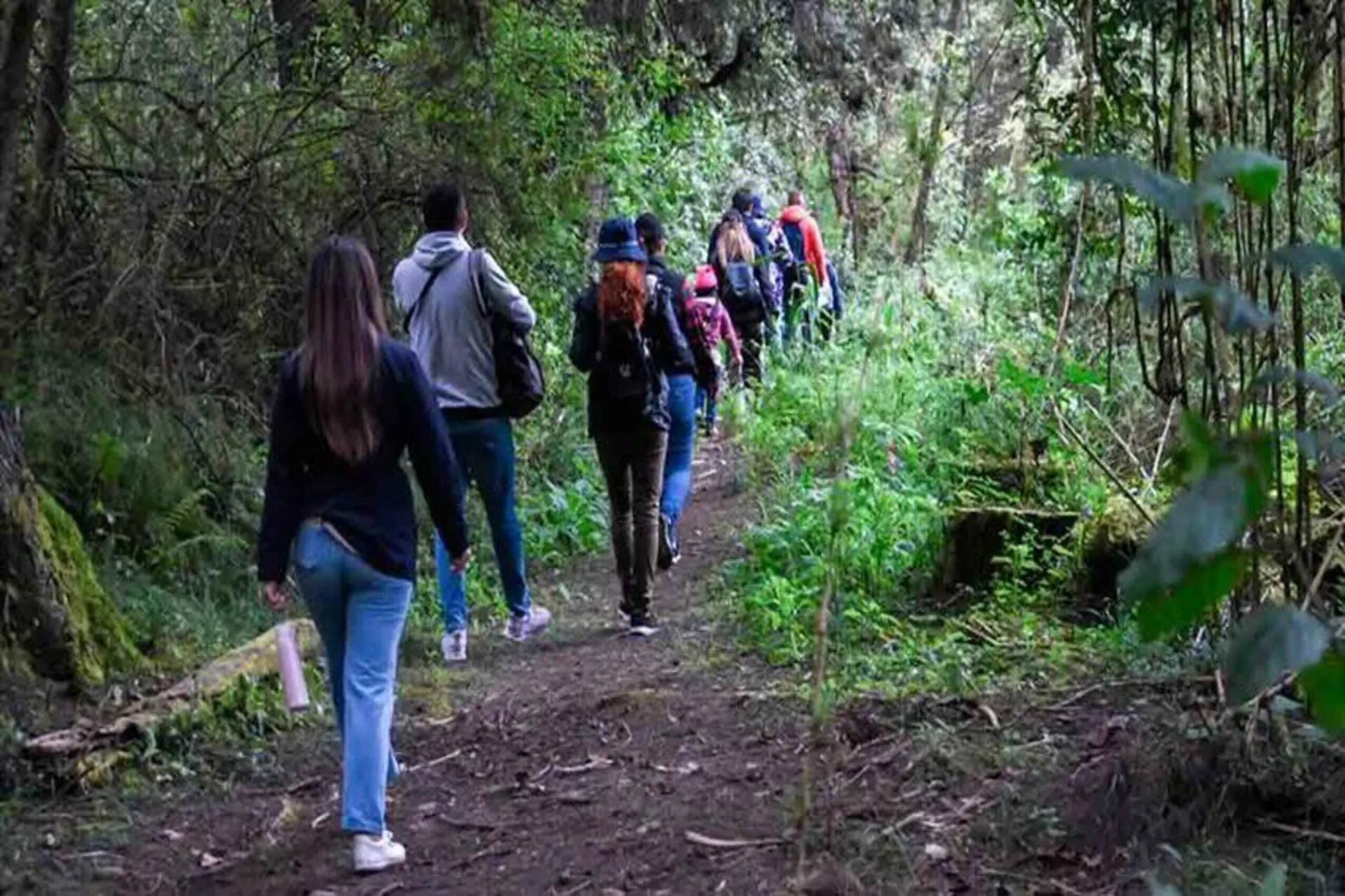 Colombia: lanzan Caja de Herramientas para Planificación Estratégica