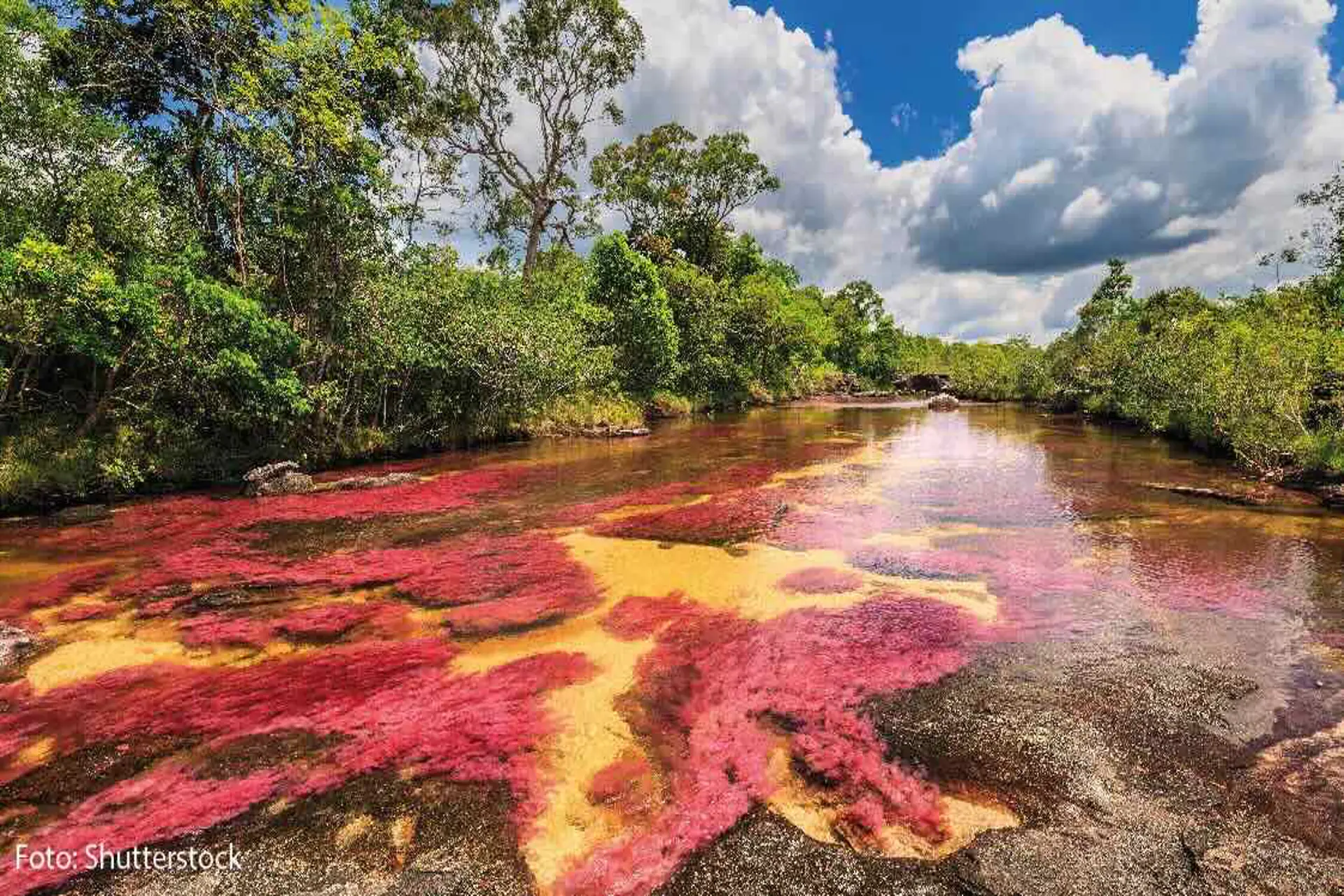 Los tres ríos de colores más lindos e imperdibles de Colombia