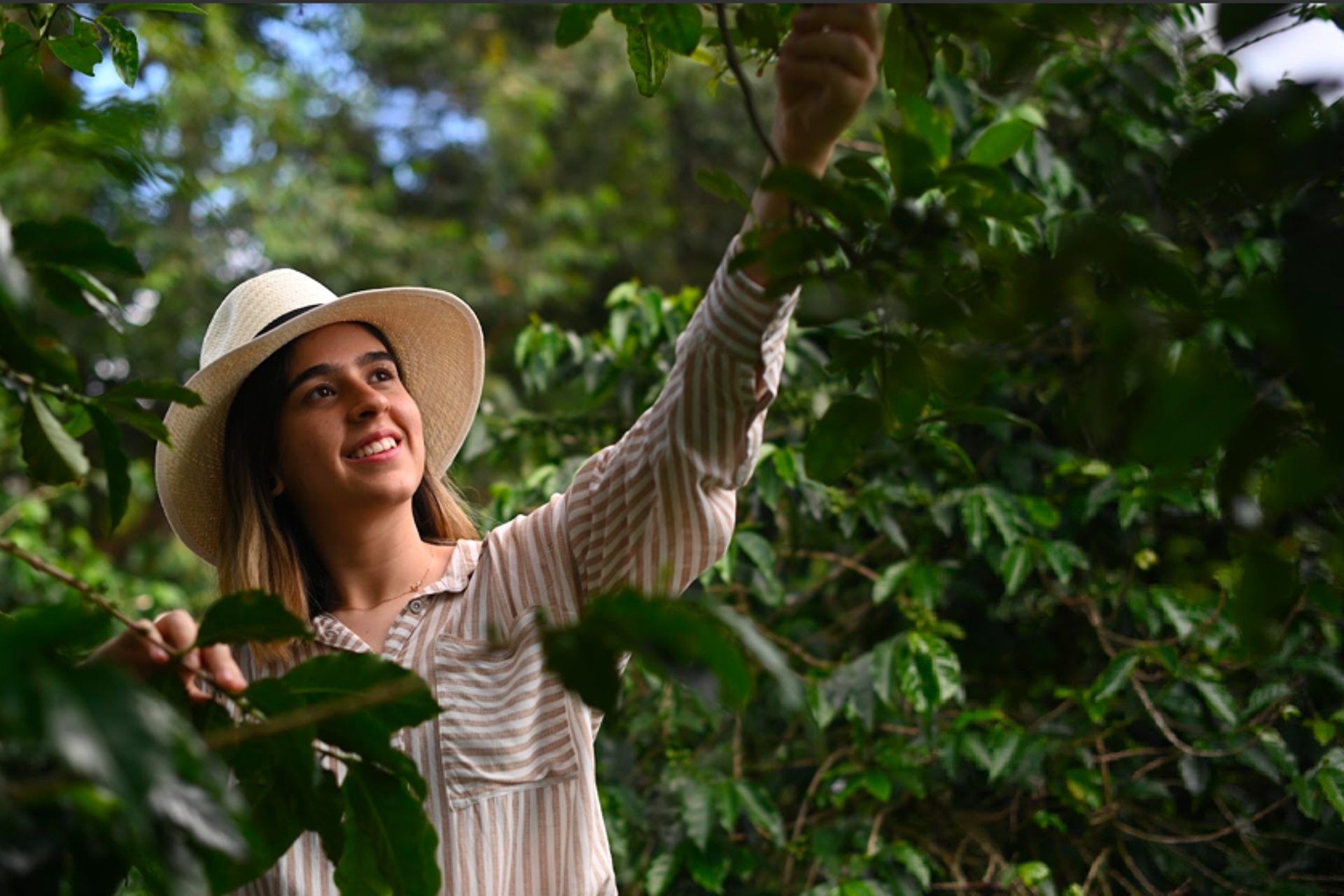 Medellín, la ciudad cafetera y pionera del entretenimiento colombiano 