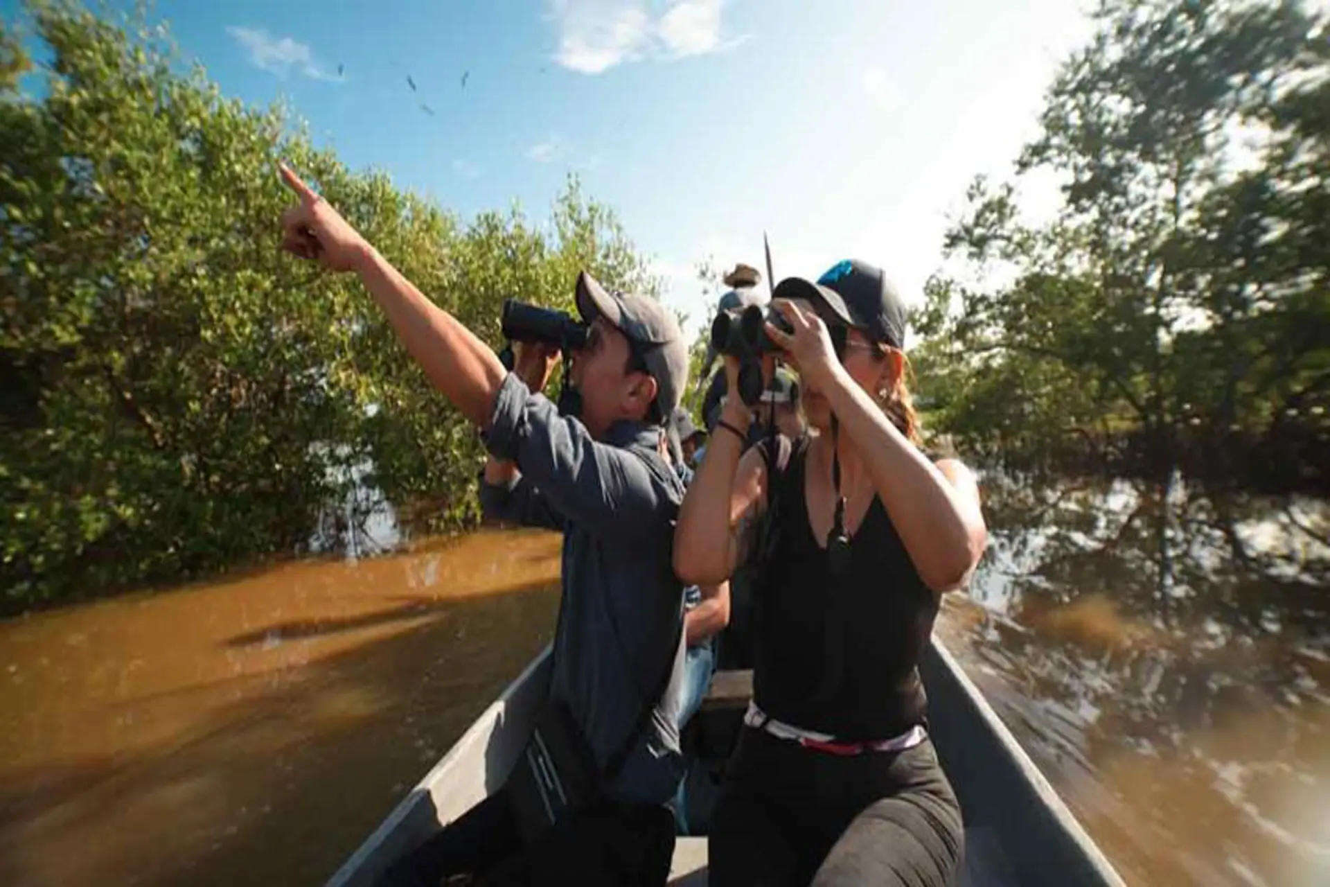 Colombia volvió al primer lugar del mundo en avistamiento de aves