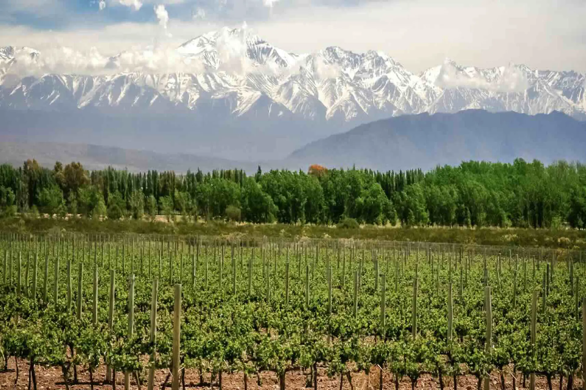 Próximos encuentros de turismo enogastronómico en Mendoza