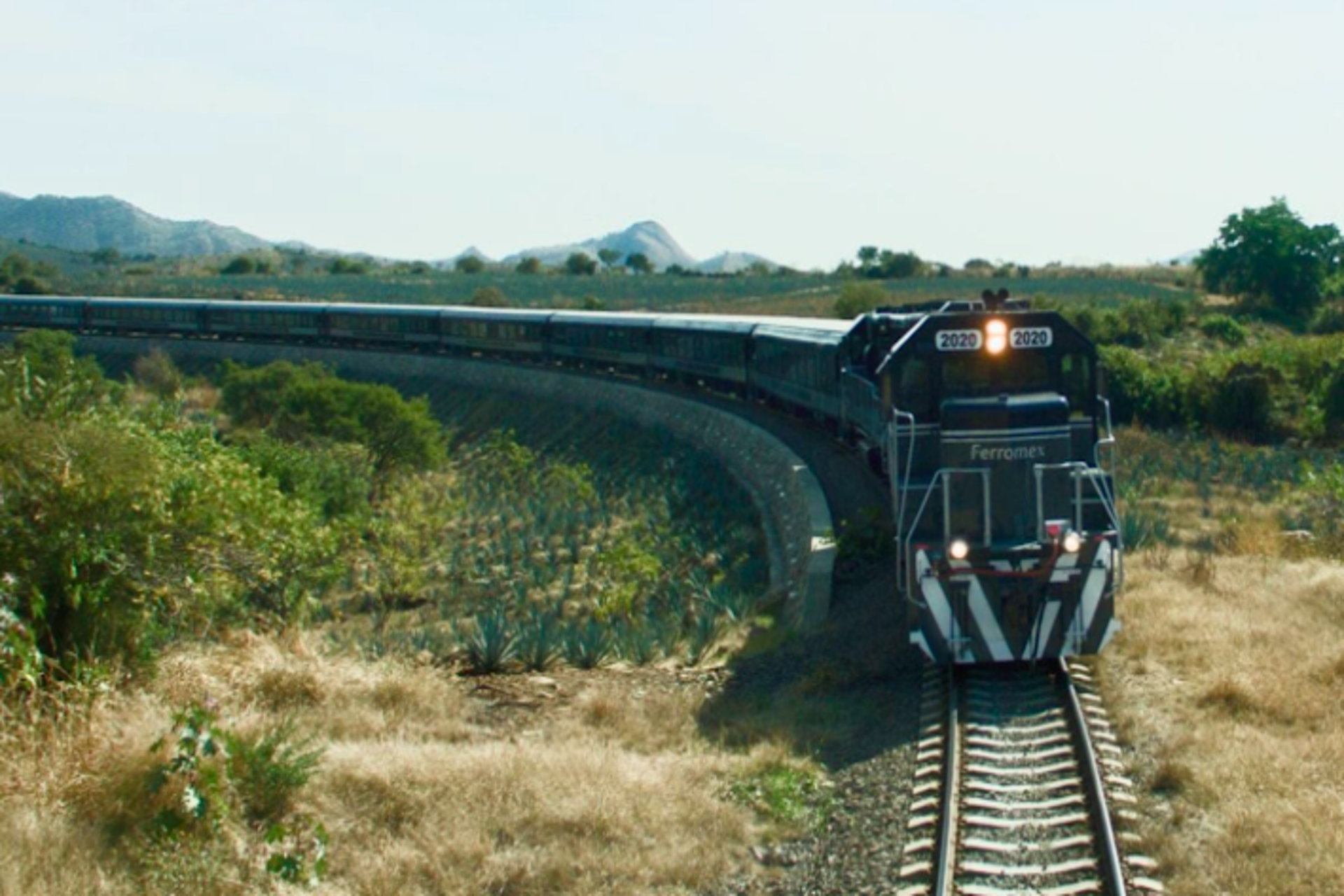 El icónico tren Tequila Express volvió a recorrer las rutas de Jalisco