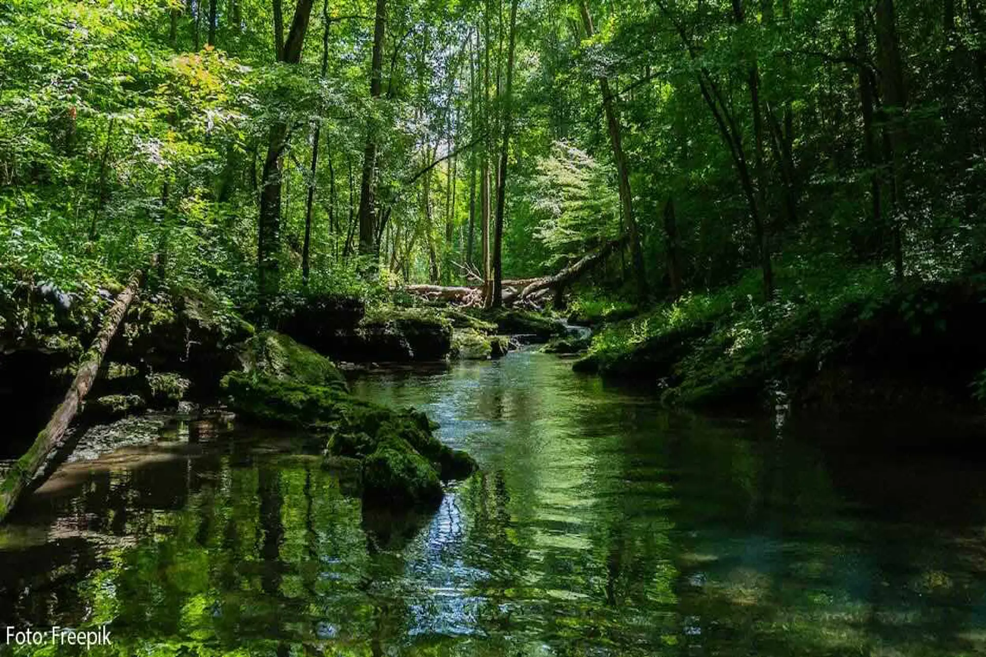 Parques Nacionales Naturales favoritos de colombianos y extranjeros