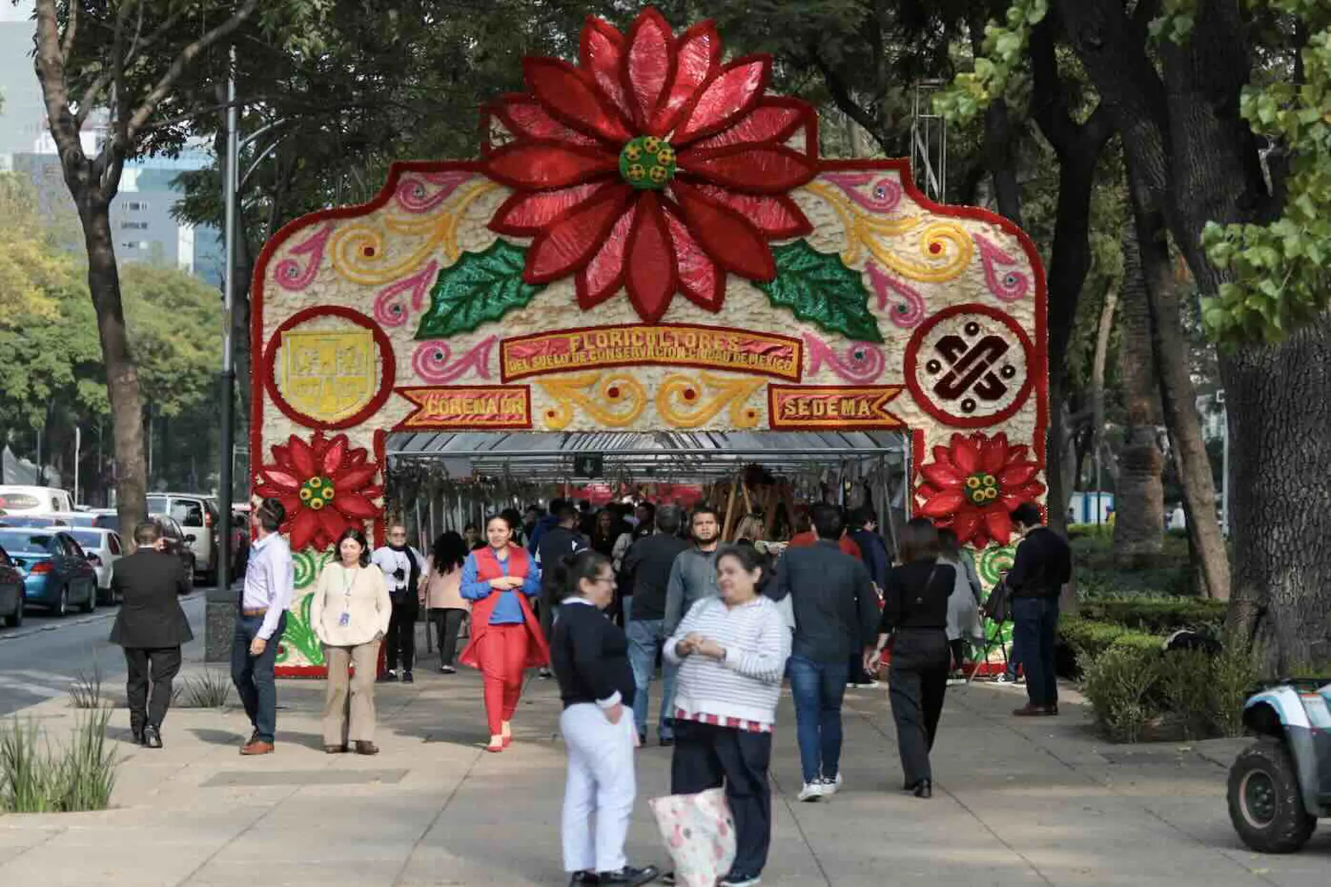 Inauguran Festival de Flores de Nochebuena en Paseo de la Reforma