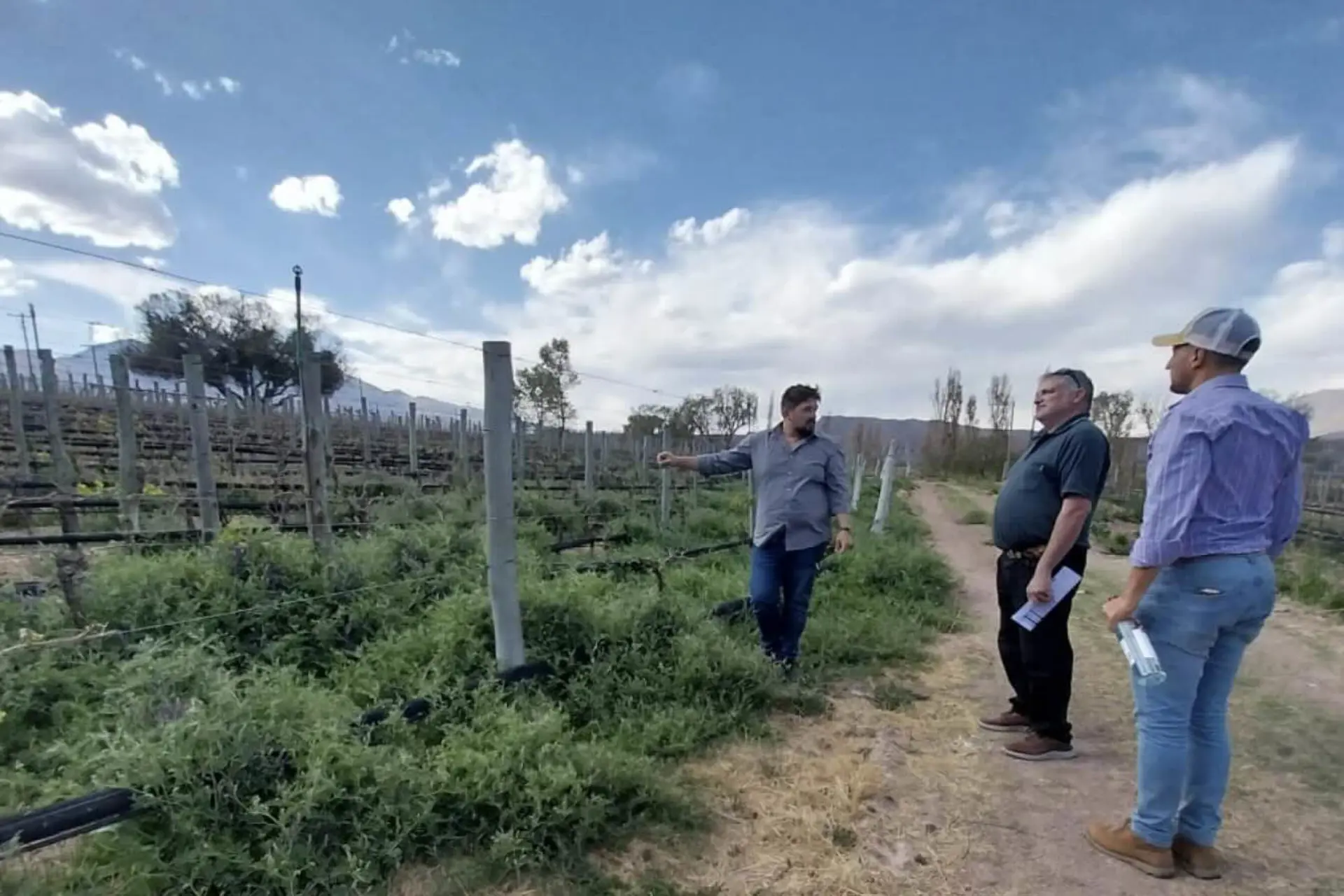  Directrices de Gestión Turística para Bodegas y Viñedos en Argentina