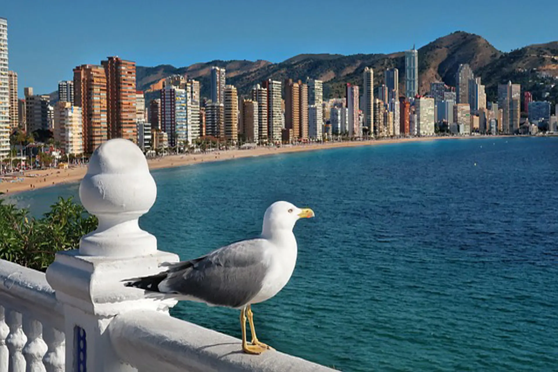 Benidorm y Turín: Líderes de la revolución del turismo inteligente 