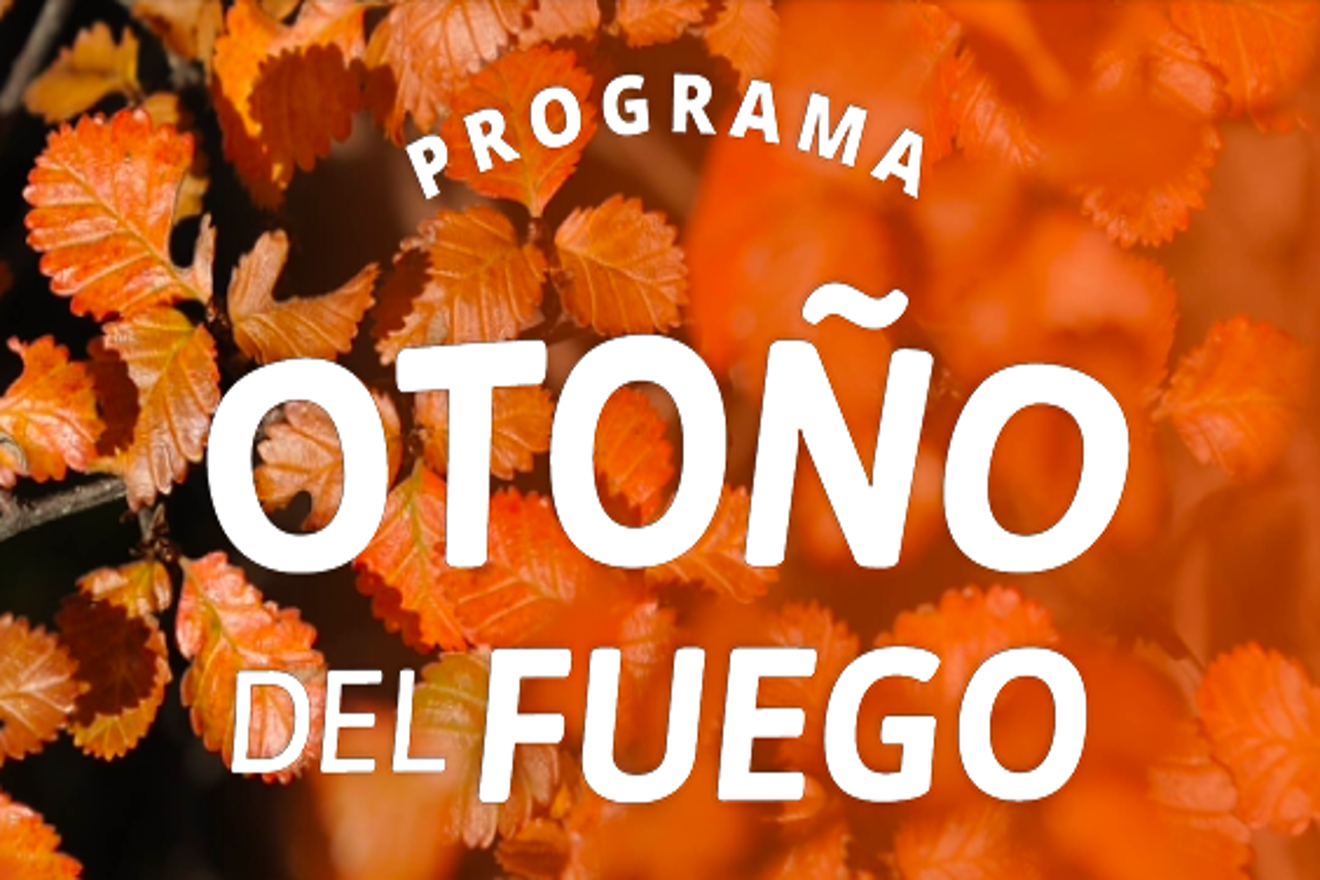 Tierra del Fuego: FAEVYT respalda el programa "Otoño del fuego" Tierra del Fuego: FAEVYT respalda el programa "Otoño del fuego"