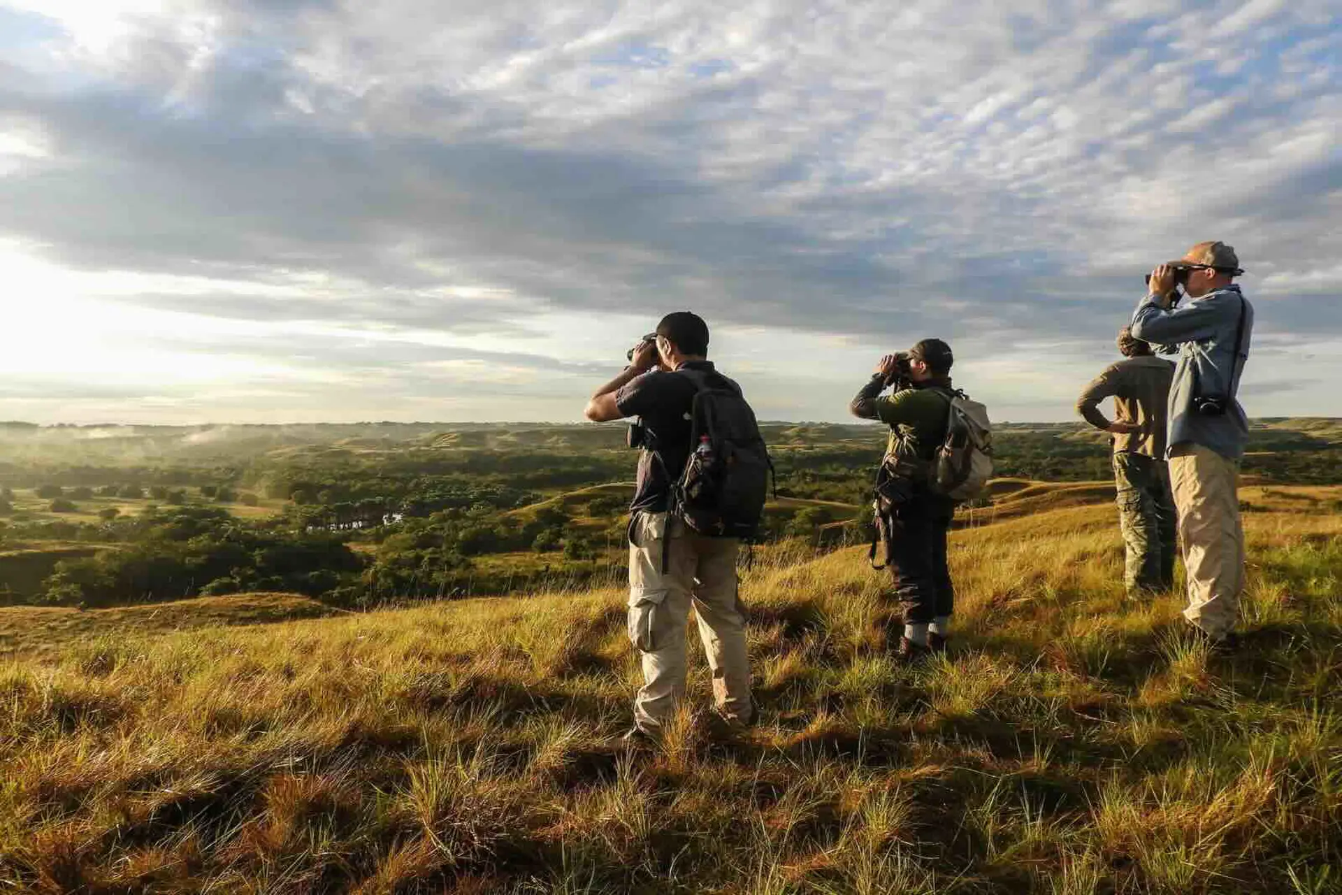 Colombia alcanza cifras récord en ingresos por turismo en 2024 Colombia alcanza cifras récord en ingresos por turismo en 2024
