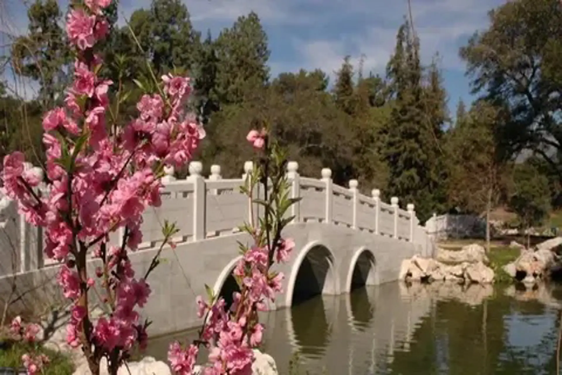 Descubre lo nuevo de Los Ángeles para la primavera 2025