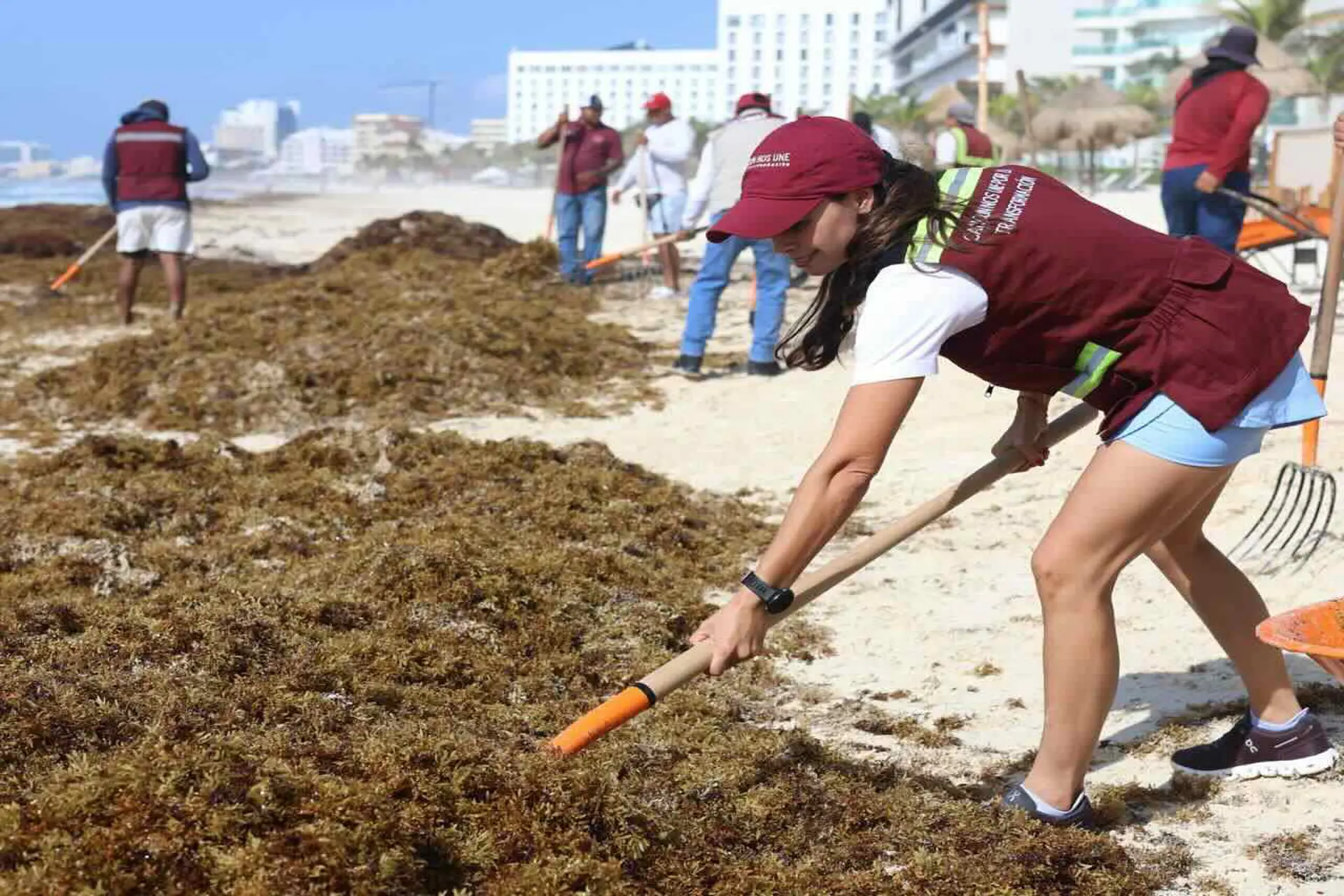 Cancún se distingue en el Caribe por su respuesta ante el Sargazo Cancún se distingue en el Caribe por su respuesta ante el Sargazo