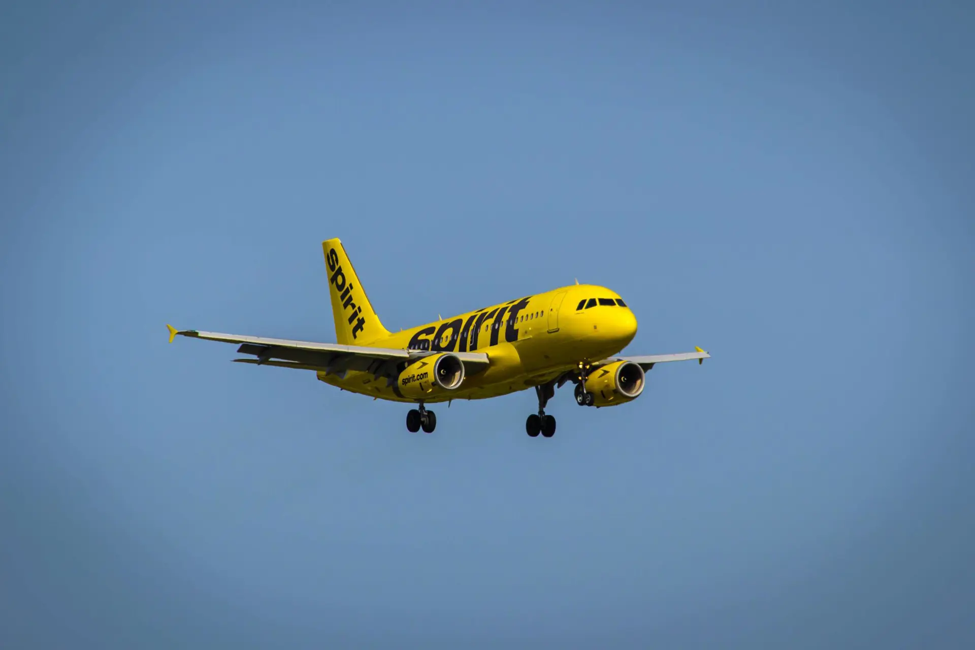 Spirit Airlines retoma ruta suspendida en América del Sur