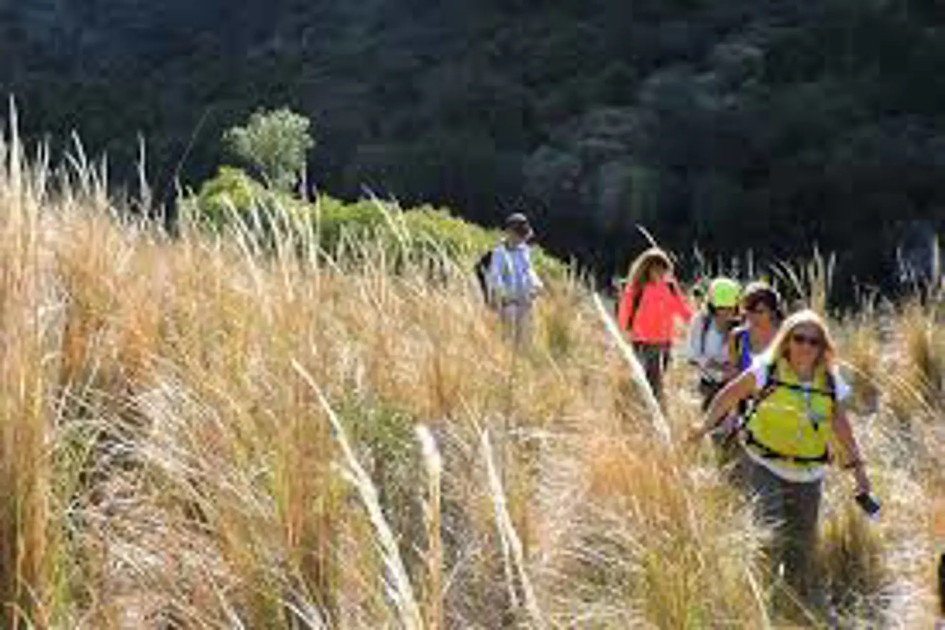 Argentina: 5 mejores excursiones del país para regalar el dia del niño Argentina: 5 mejores excursiones del país para regalar el dia del niño
