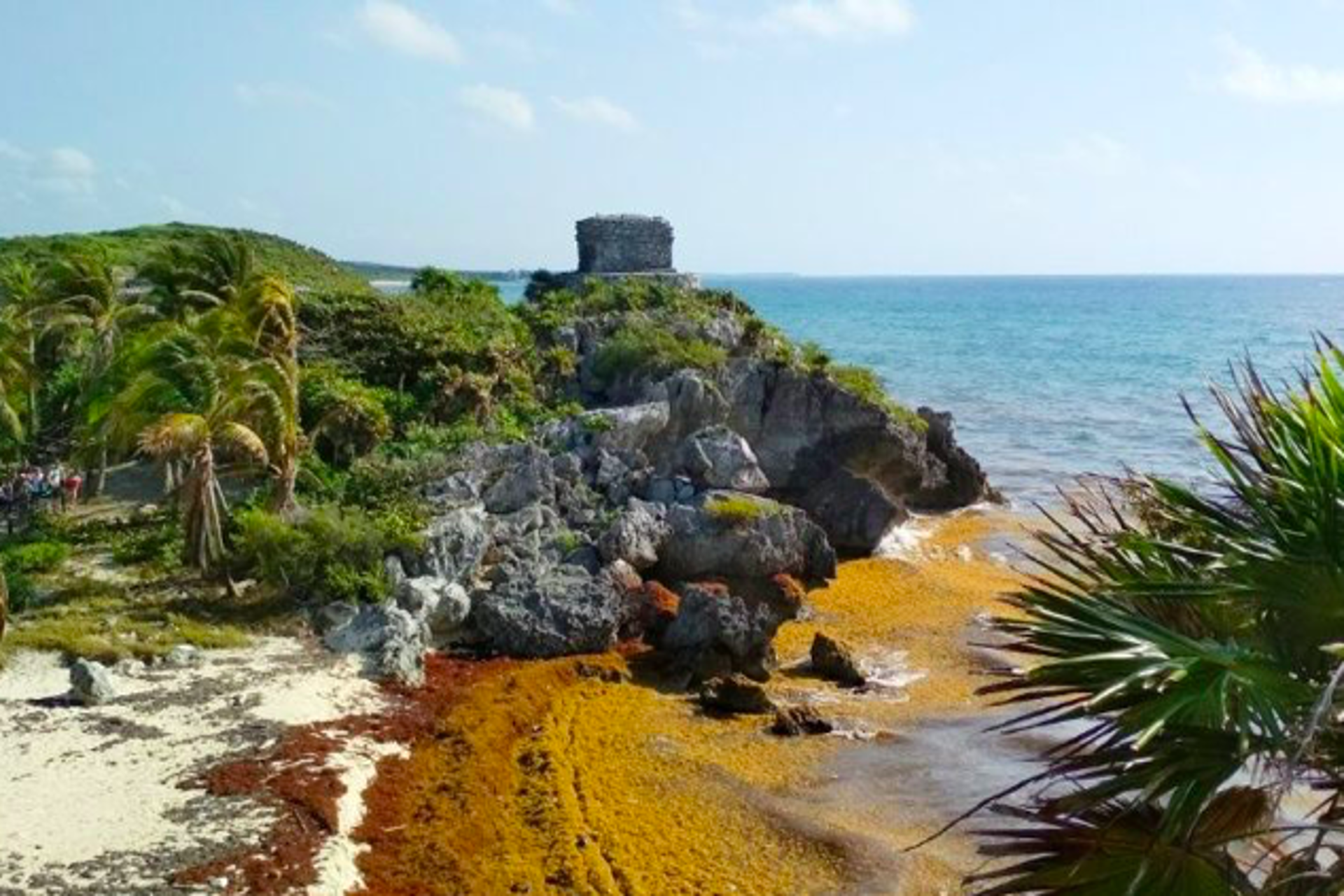 Tulum intensifica la limpieza de sargazo ante la crisis turística