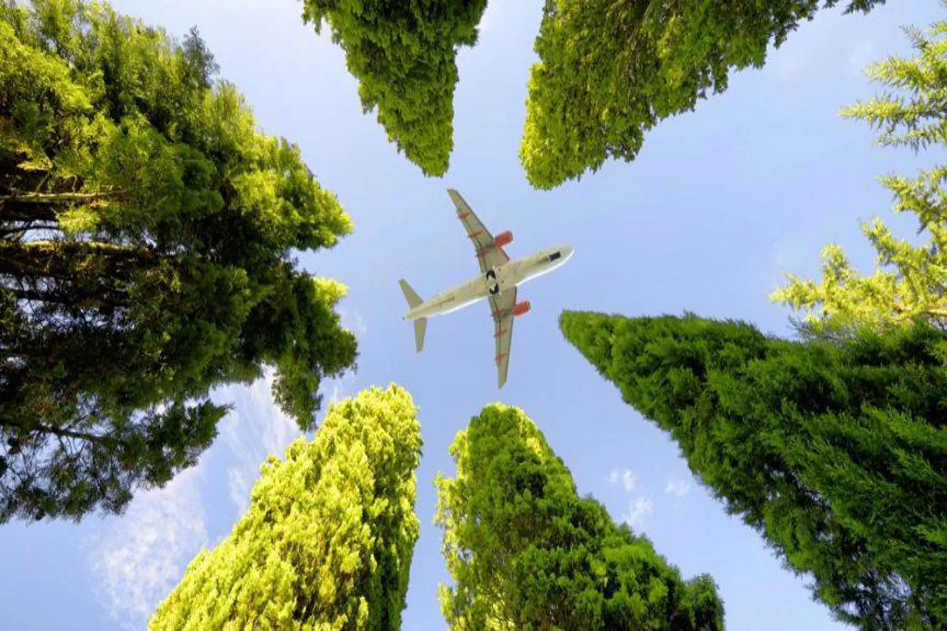 Rutas eficientes dan sostenibilidad aérea en destinos de América Latina