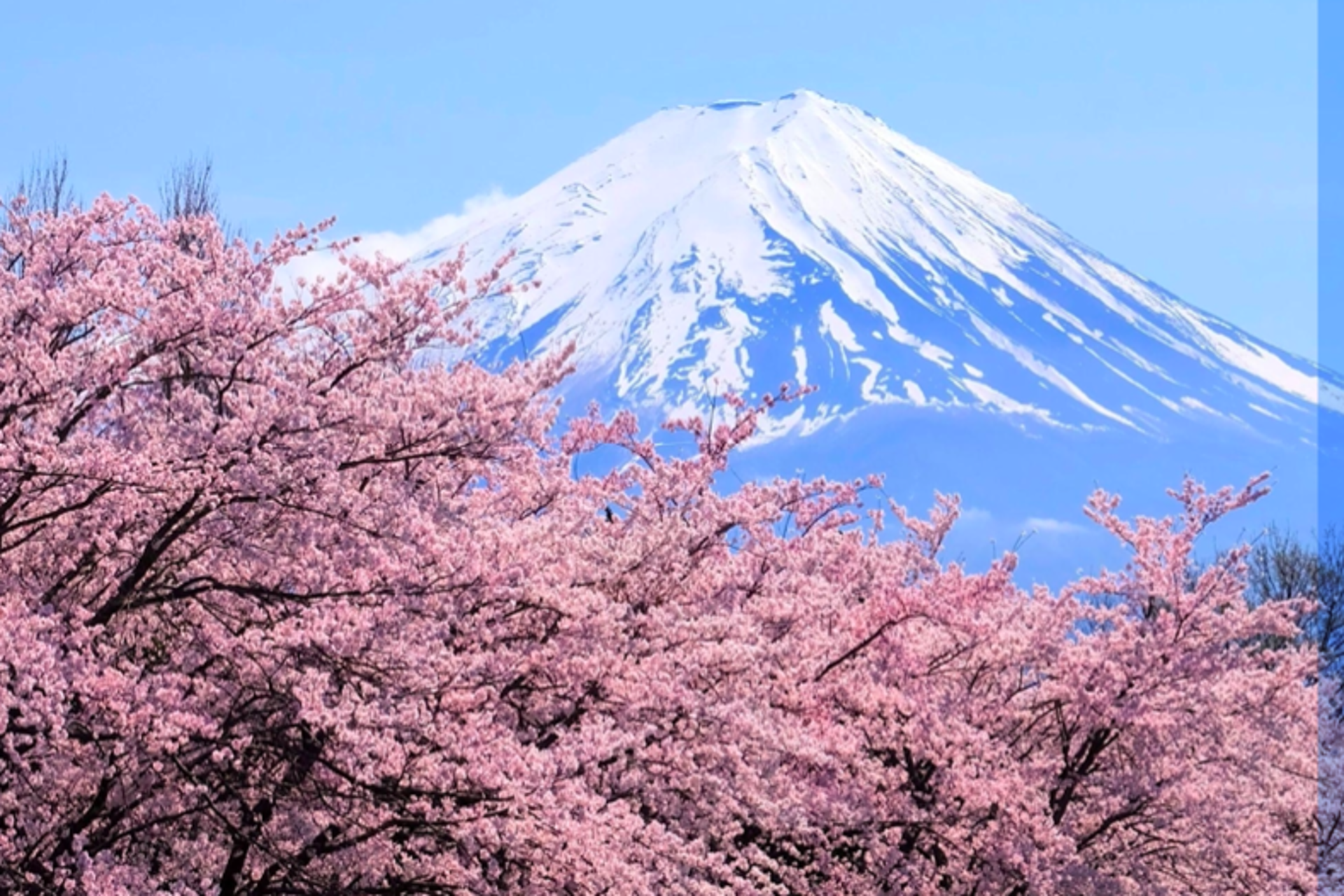 Japón en 7 días: un itinerario perfecto para clientes con Civitatis