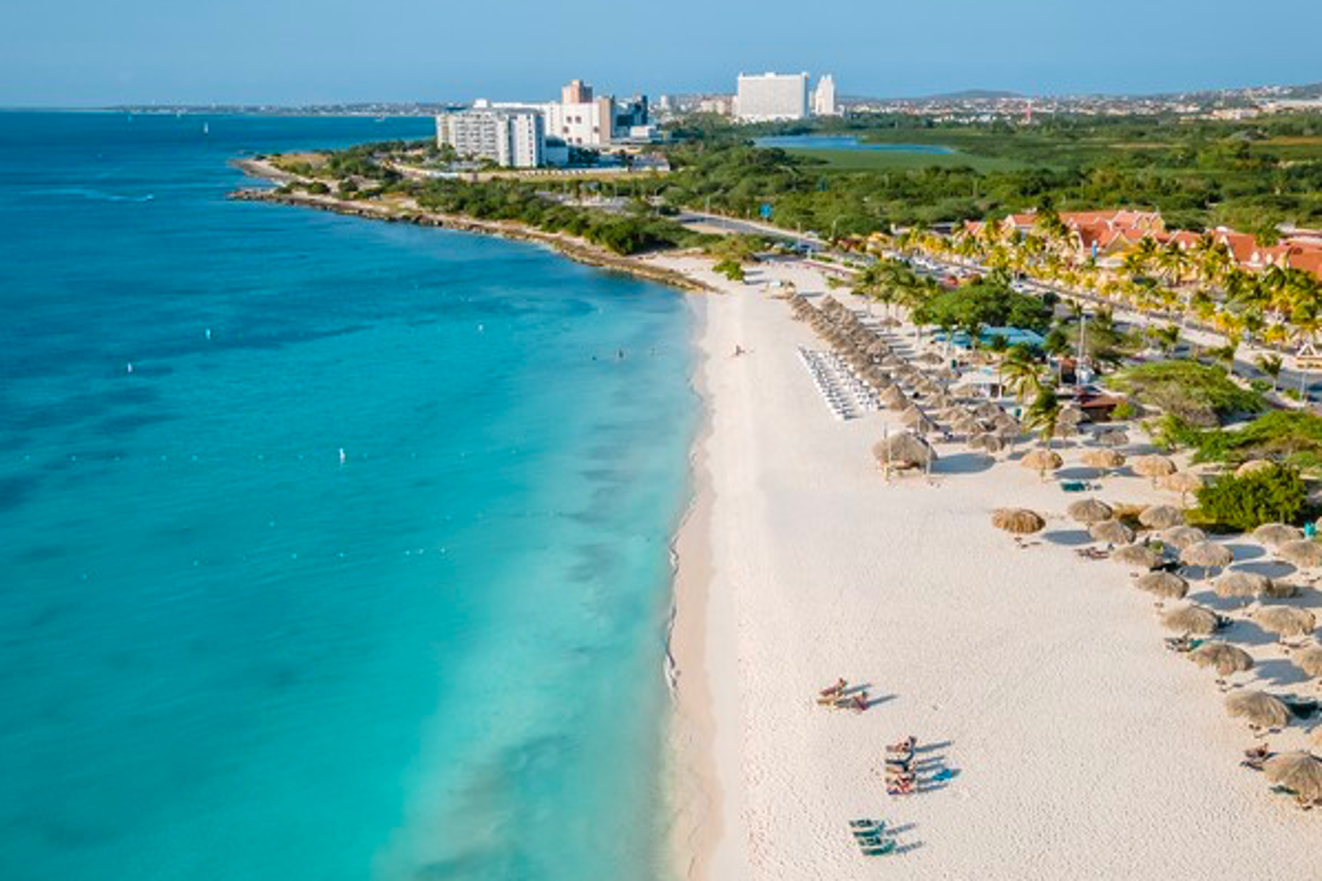 Por primera vez Aerolíneas Argentinas tendrá vuelos directos a Aruba