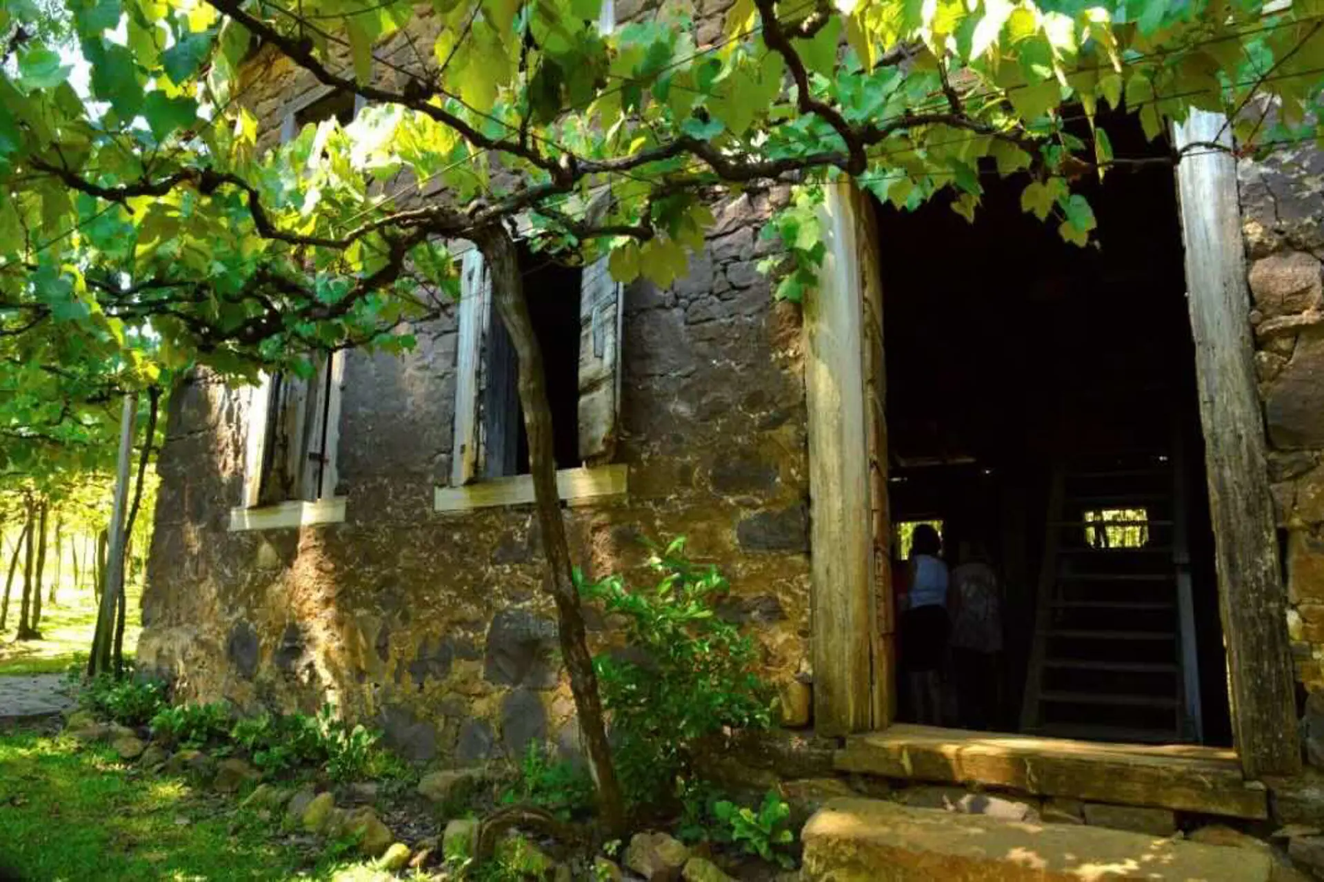 Bento Gonçalves presentará un plan de accesibilidad en Festuris