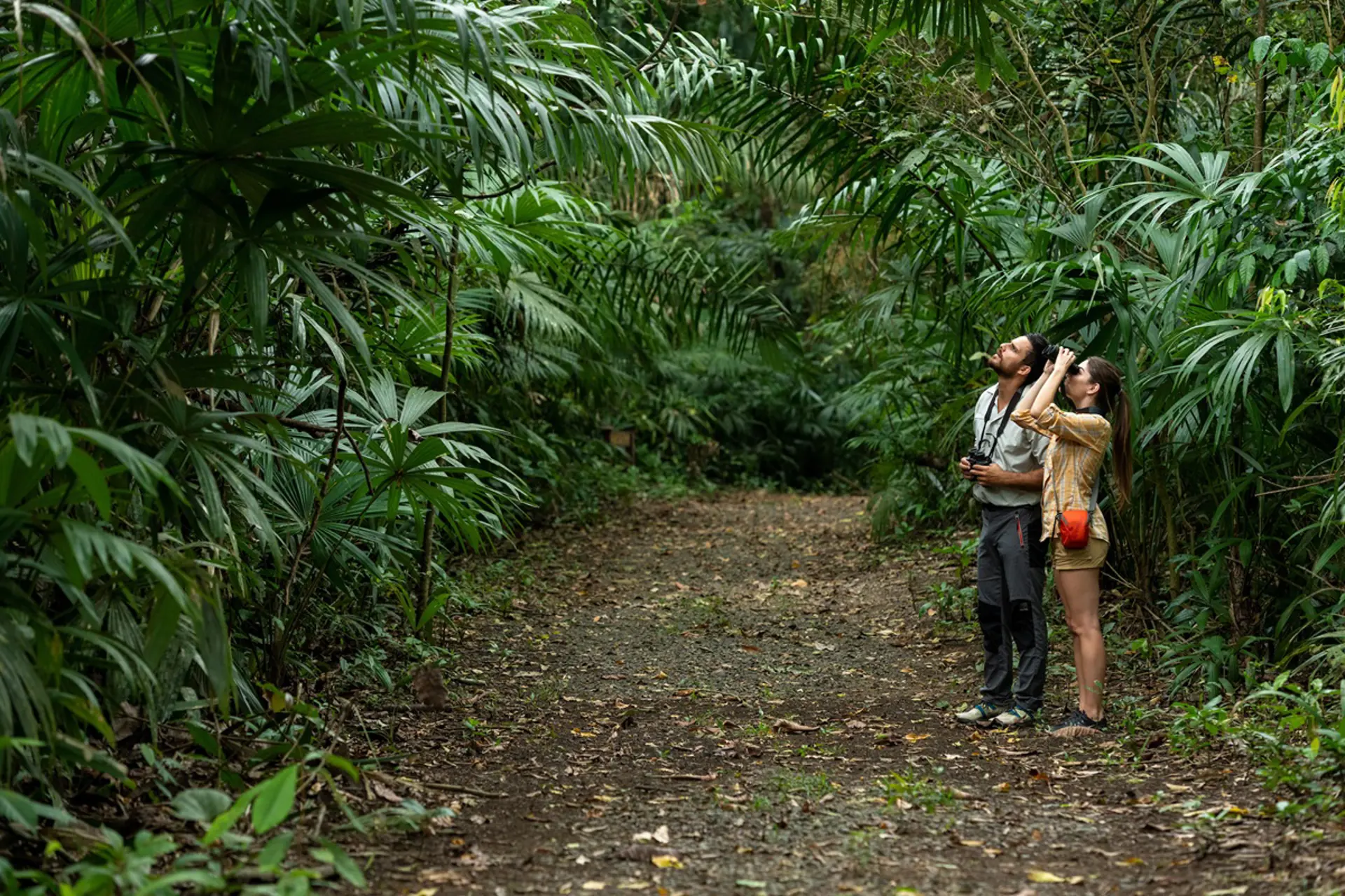 Panamá avanza hacia un turismo que protege, regenera y conecta